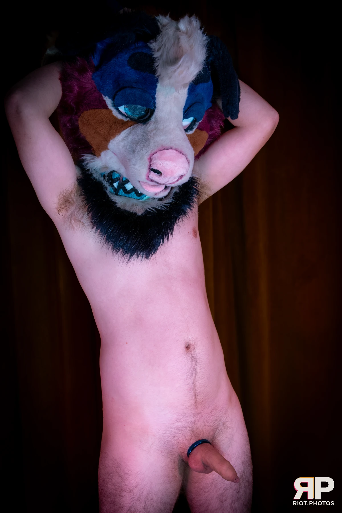 Kepler - furry & pup photography by Fluffy Riot - photo 46