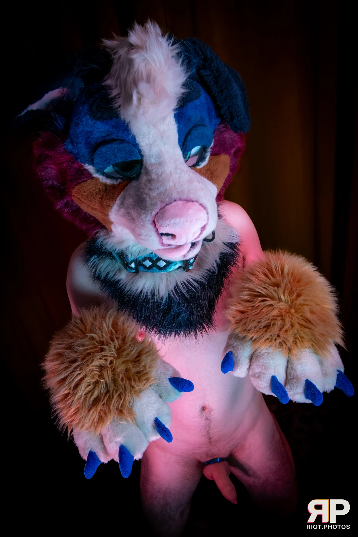 Kepler - furry & pup photography by Fluffy Riot - photo 45
