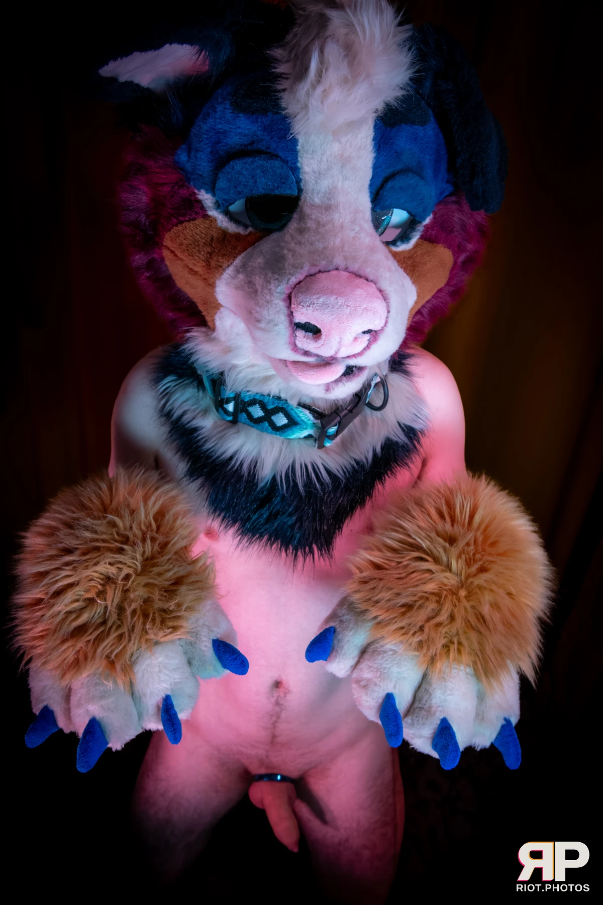 Kepler - furry & pup photography by Fluffy Riot - photo 44
