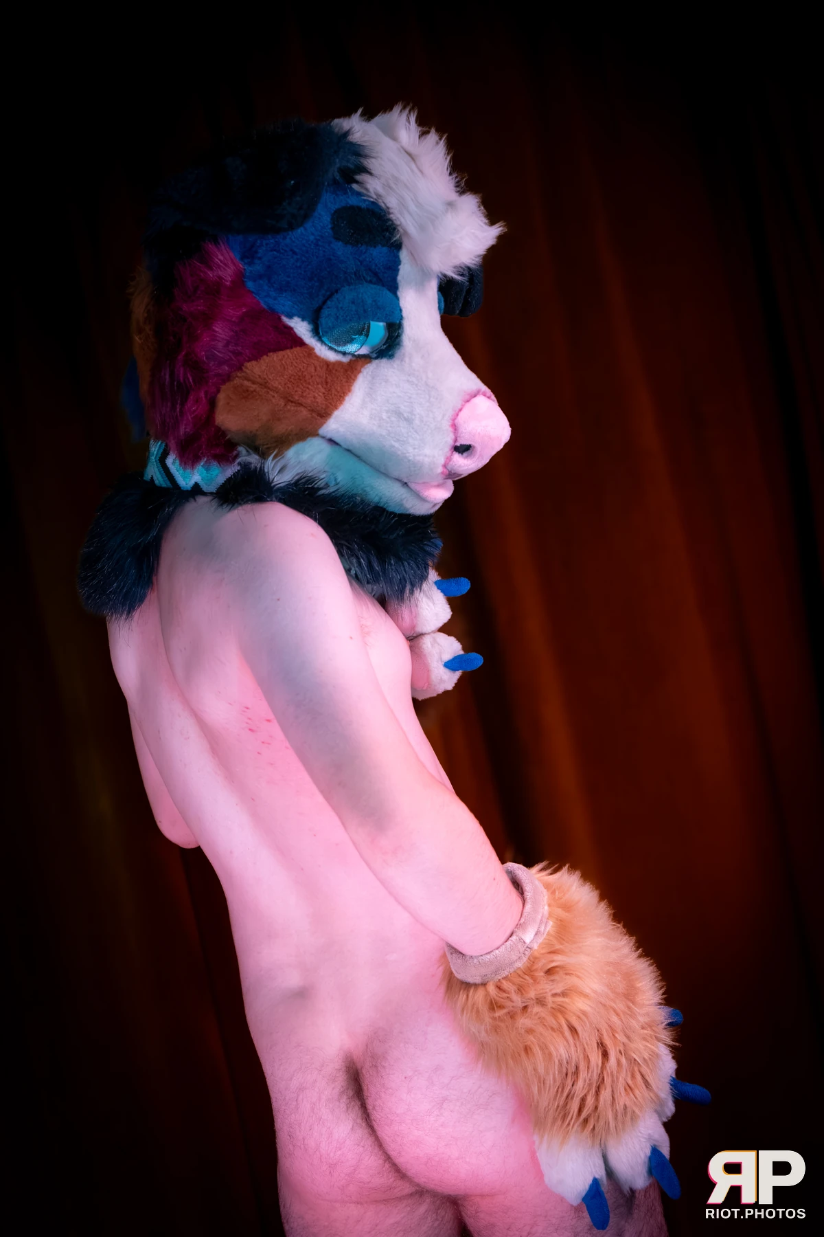 Kepler - furry & pup photography by Fluffy Riot - photo 41