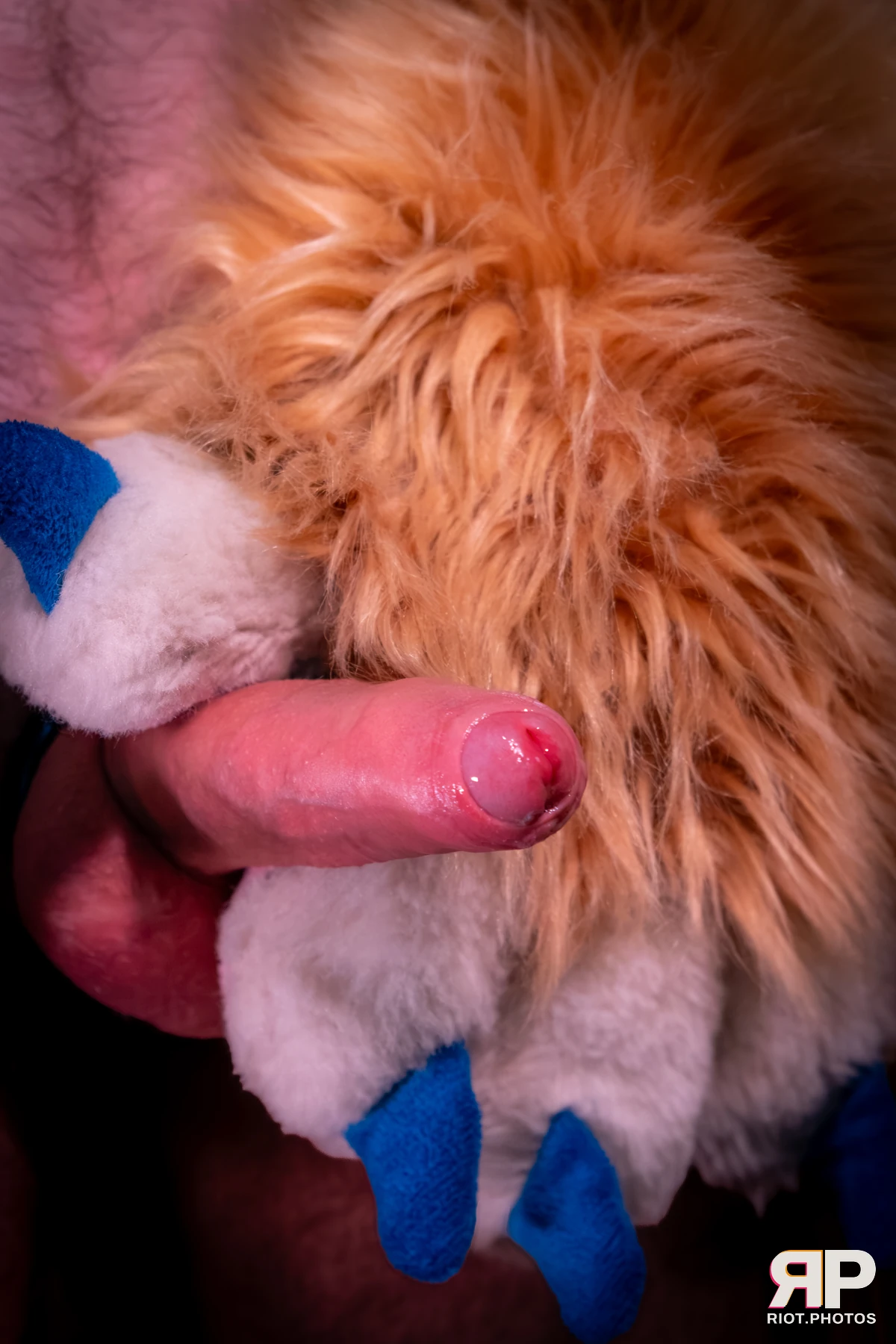 Kepler - furry & pup photography by Fluffy Riot - photo 38
