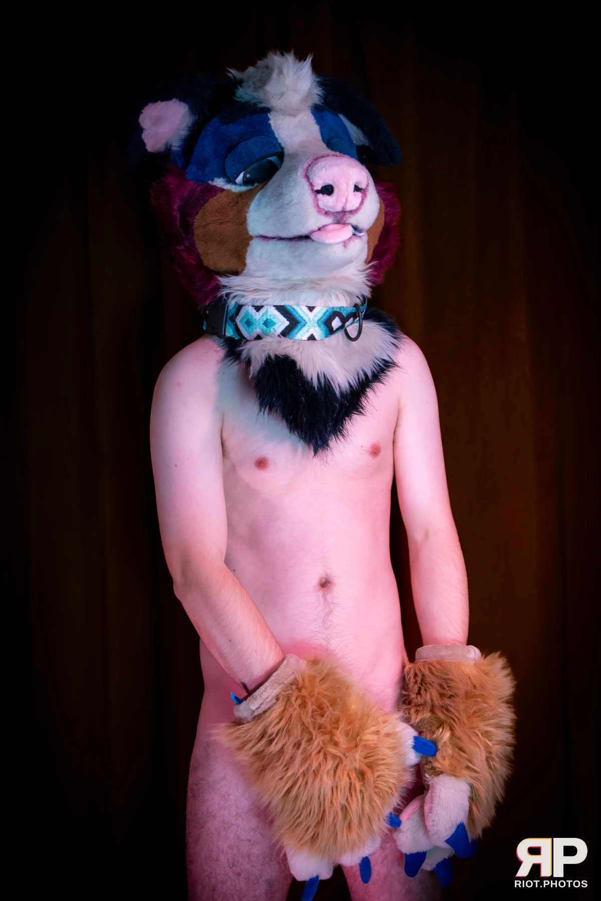 Kepler - furry & pup photography by Fluffy Riot - photo 33