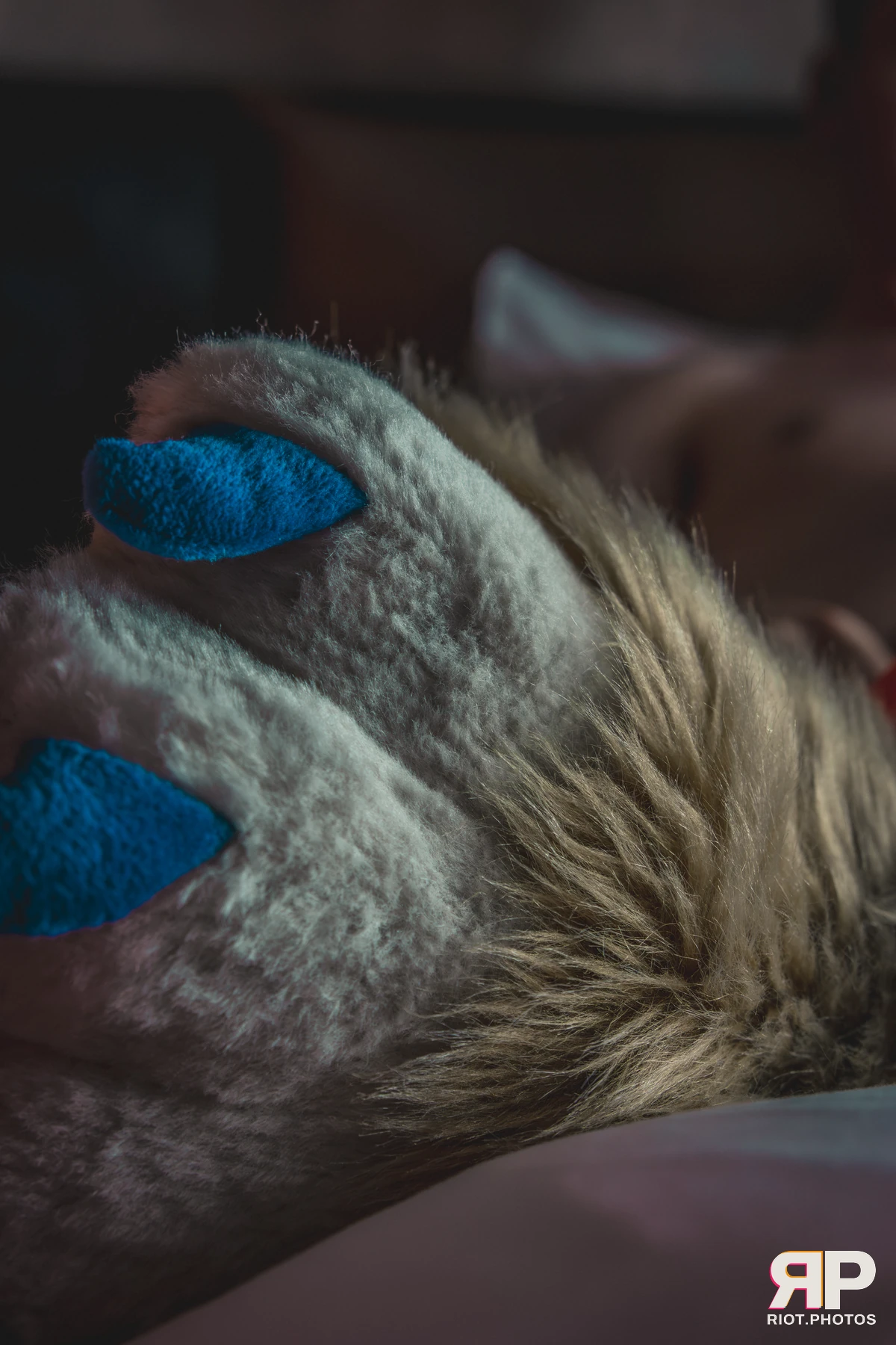 Kepler - furry & pup photography by Fluffy Riot - photo 30