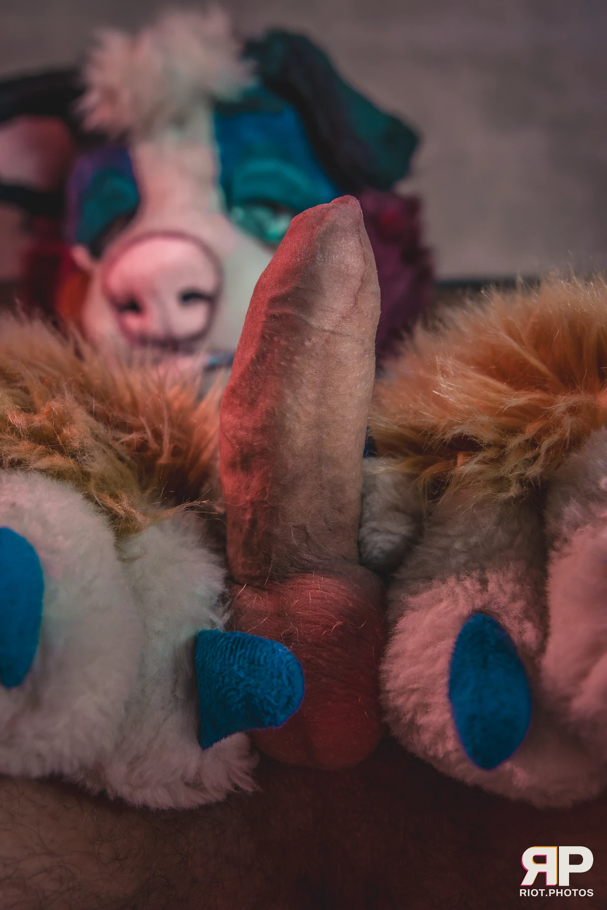 Kepler - furry & pup photography by Fluffy Riot - photo 26