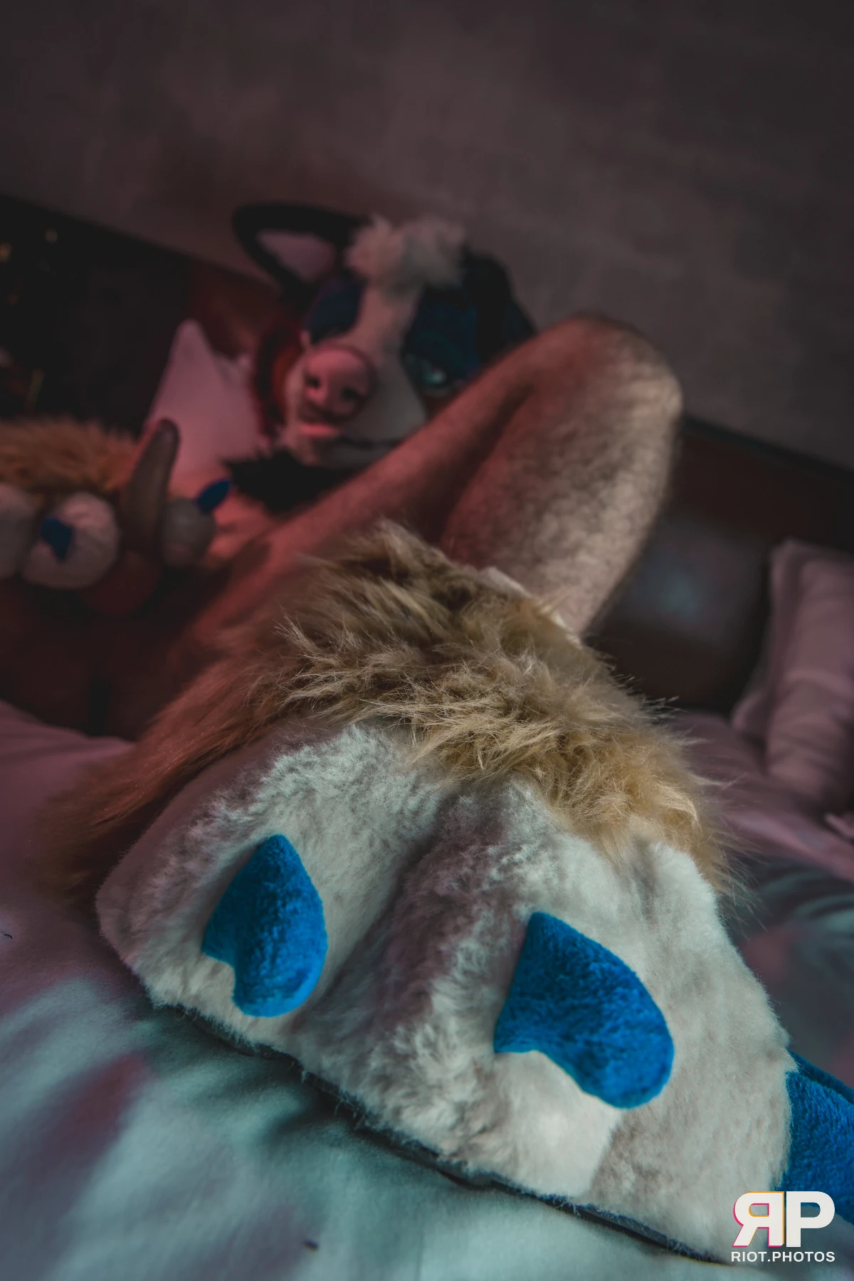 Kepler - furry & pup photography by Fluffy Riot - photo 25