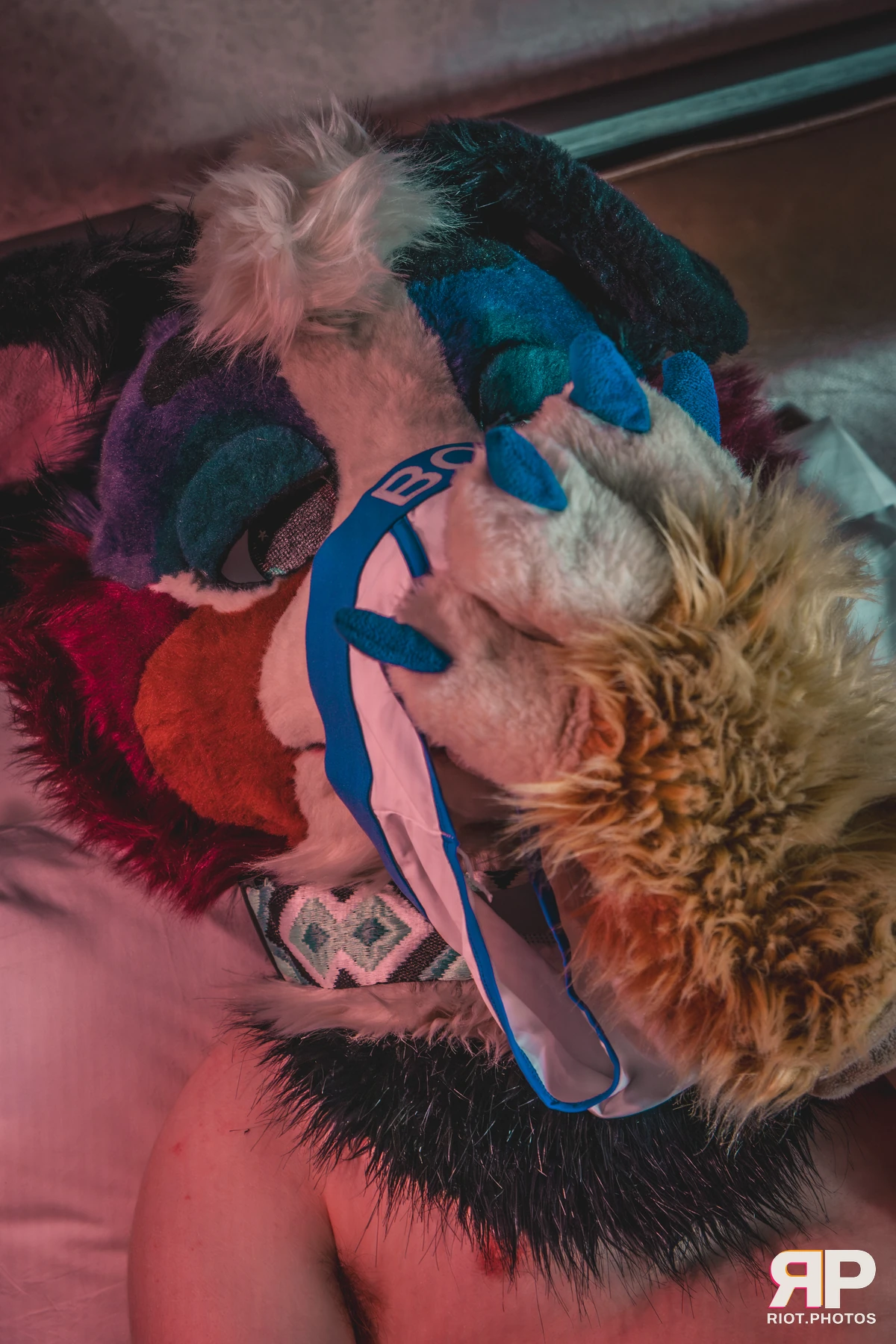 Kepler - furry & pup photography by Fluffy Riot - photo 20