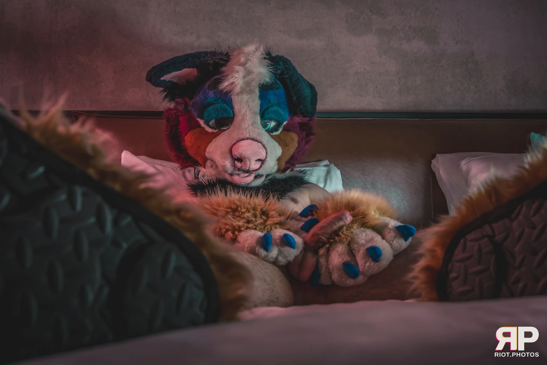 Kepler - furry & pup photography by Fluffy Riot - photo 19
