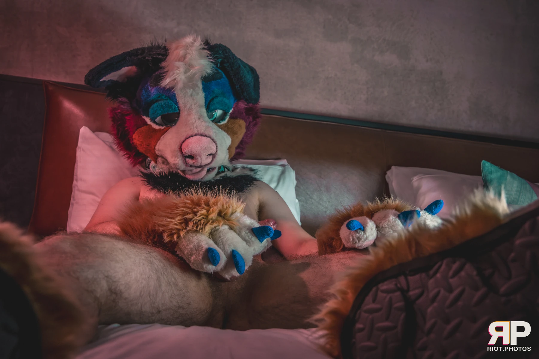 Kepler - furry & pup photography by Fluffy Riot - photo 18