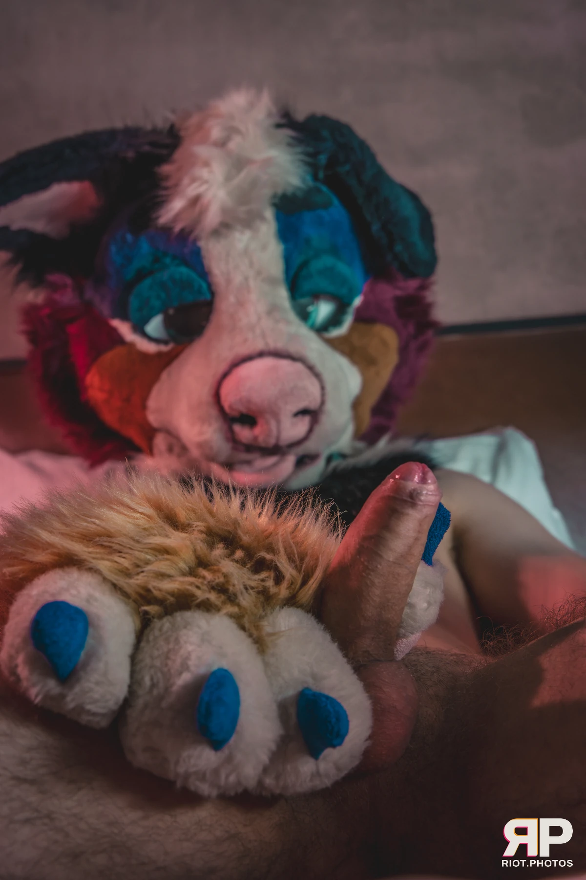 Kepler - furry & pup photography by Fluffy Riot - photo 17