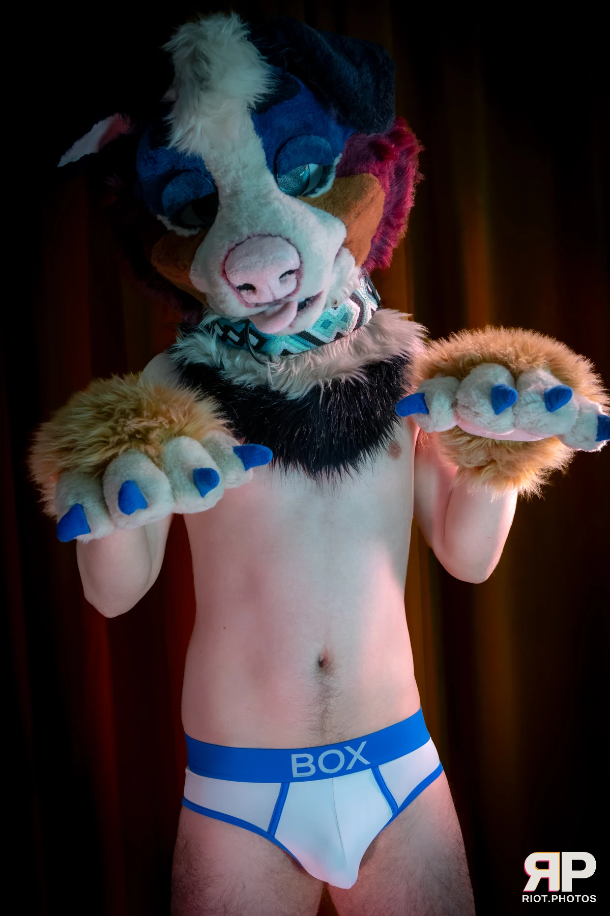 Kepler - furry & pup photography by Fluffy Riot - photo 16