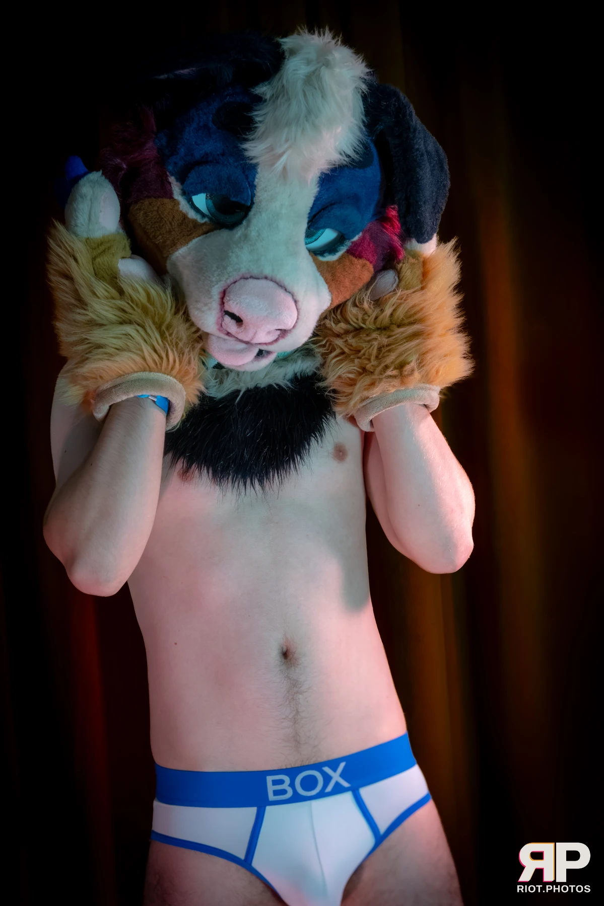 Kepler - furry & pup photography by Fluffy Riot - photo 15