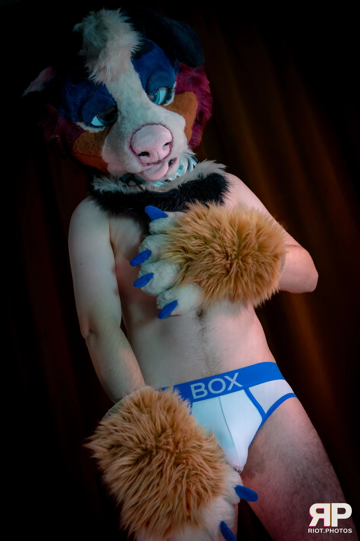Kepler - furry & pup photography by Fluffy Riot - photo 14