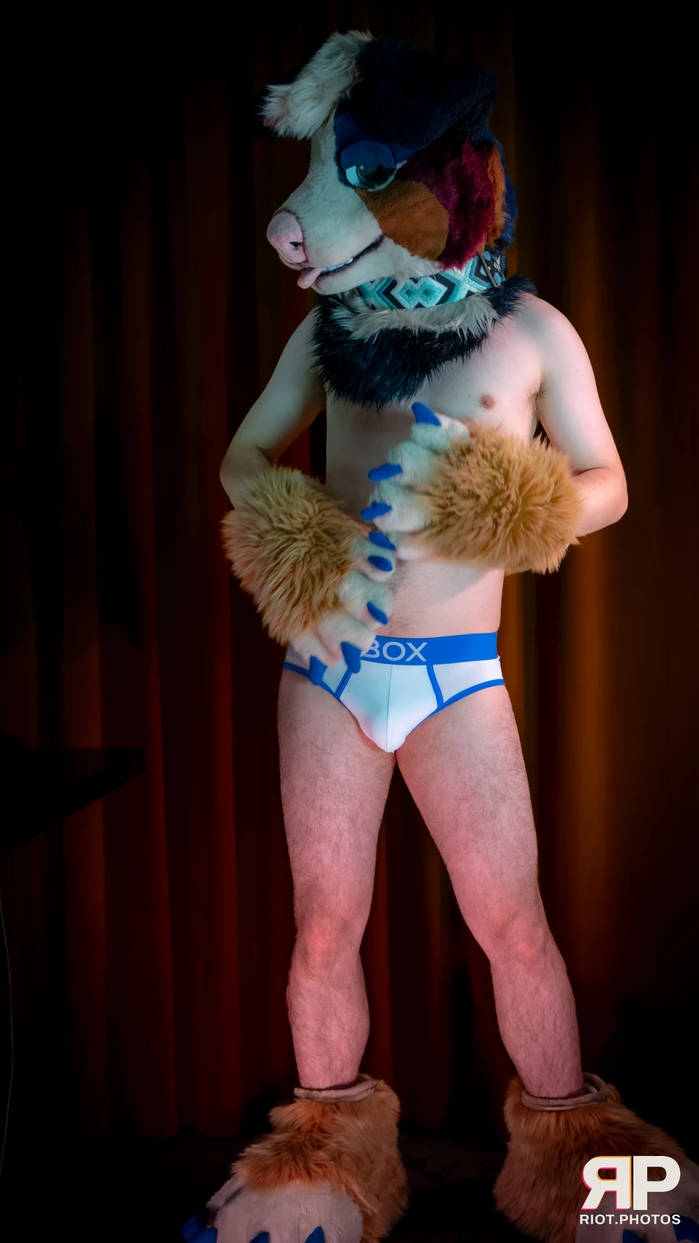 Kepler - furry & pup photography by Fluffy Riot - photo 13