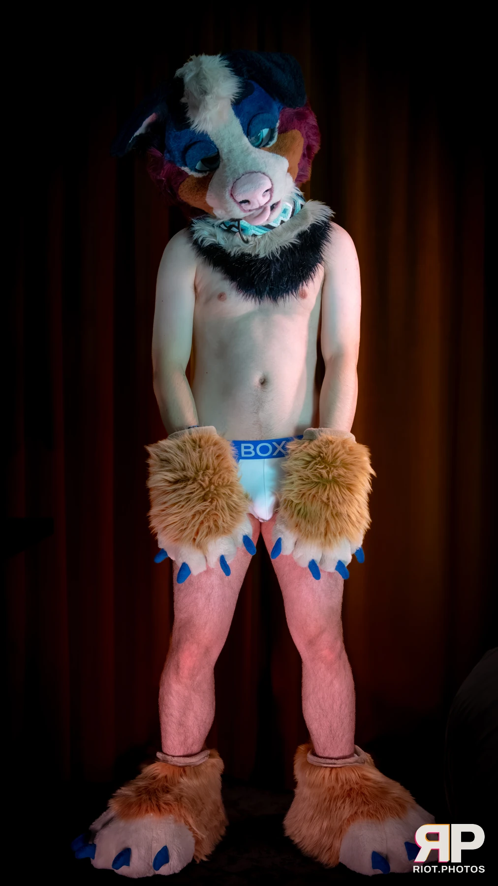 Kepler - furry & pup photography by Fluffy Riot - photo 12