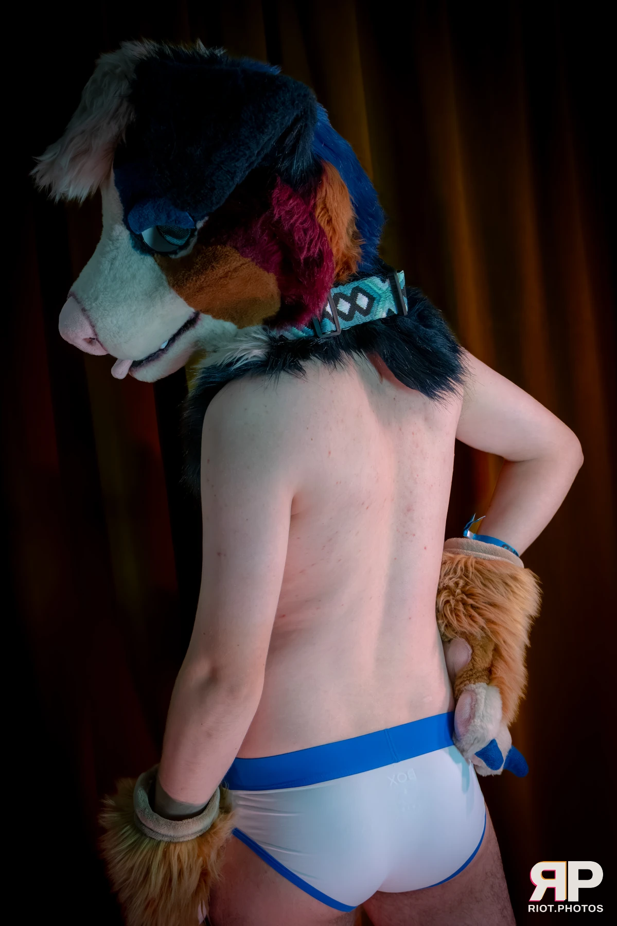 Kepler - furry & pup photography by Fluffy Riot - photo 9