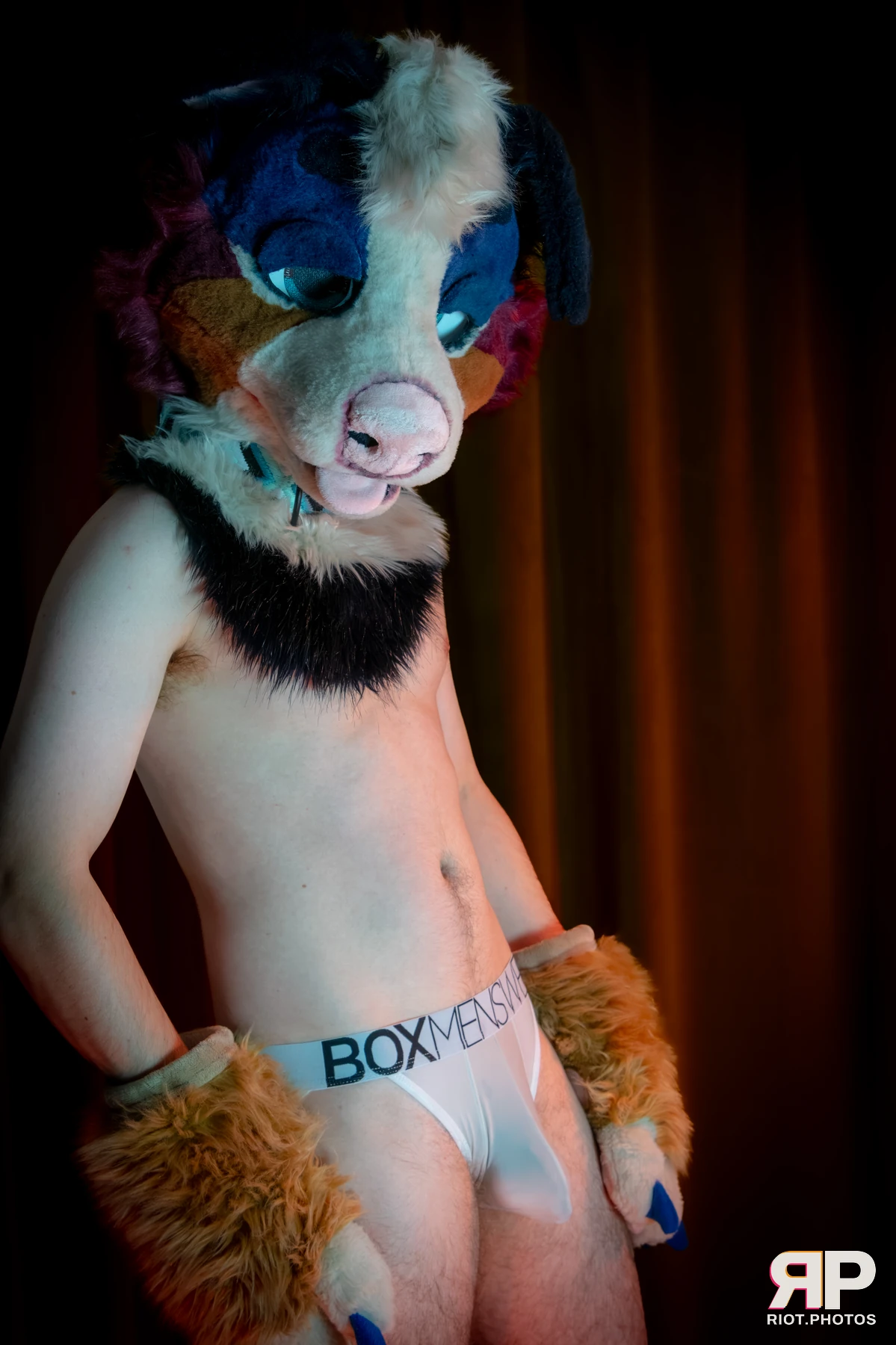 Kepler - furry & pup photography by Fluffy Riot - photo 7