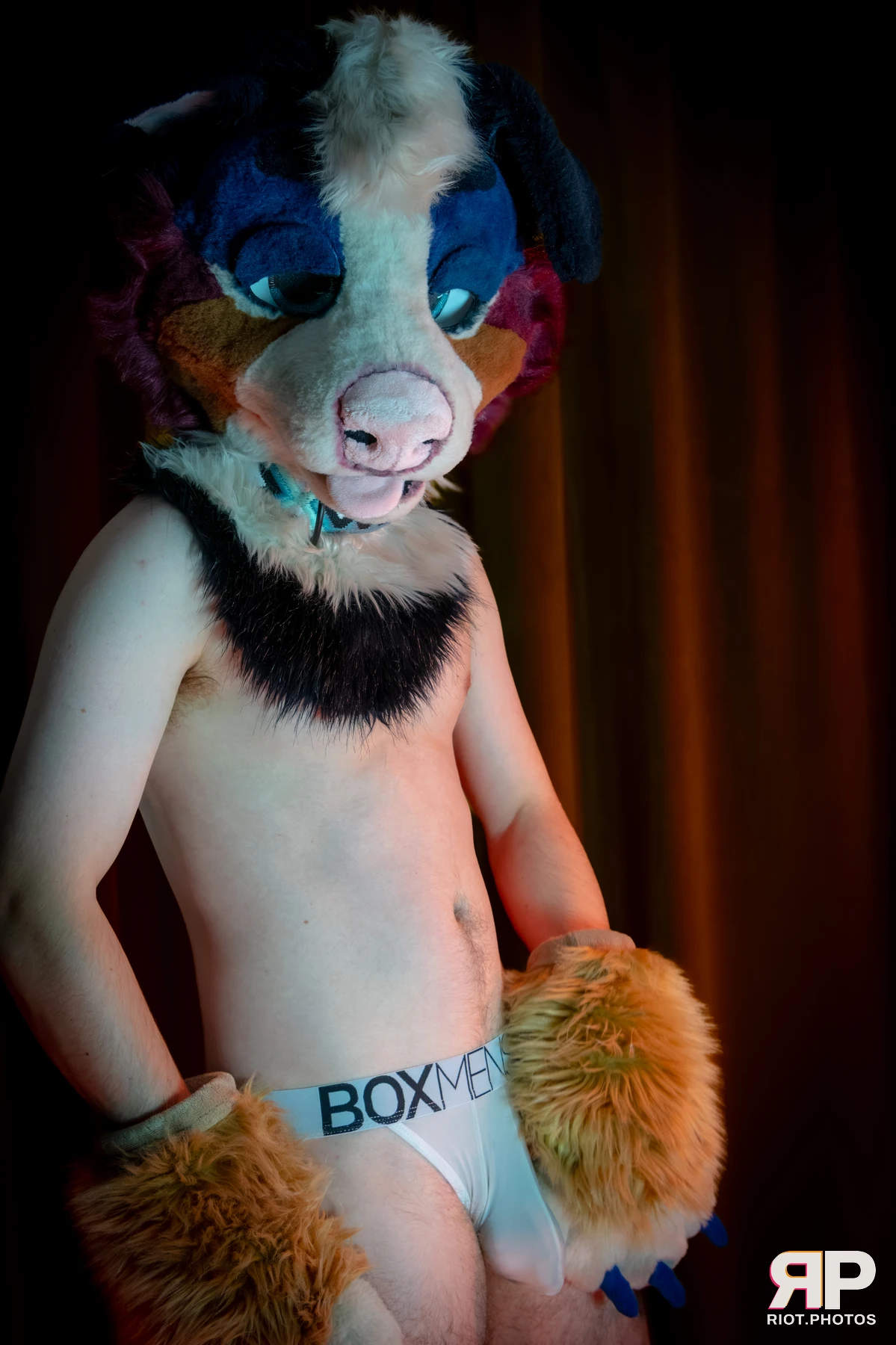 Kepler - furry & pup photography by Fluffy Riot - photo 6