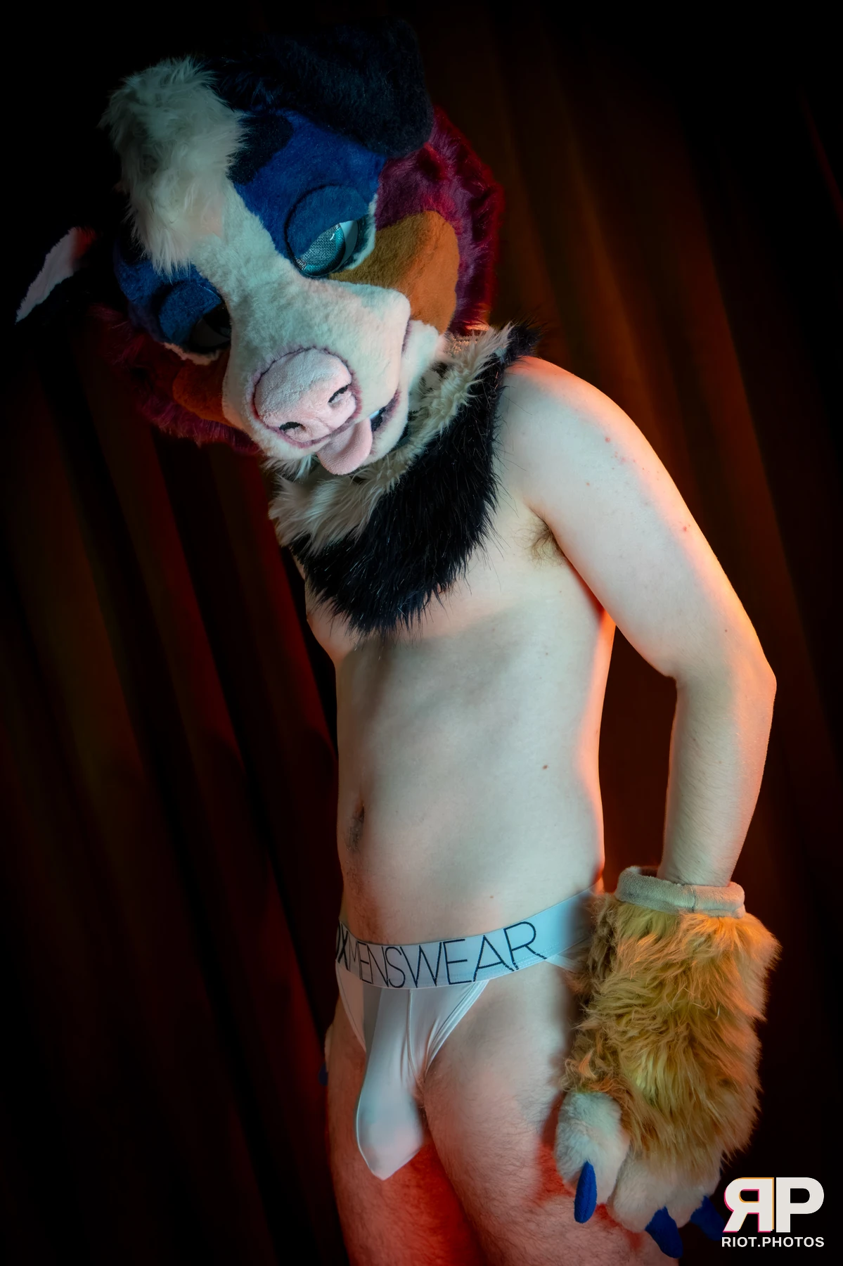 Kepler - furry & pup photography by Fluffy Riot - photo 5
