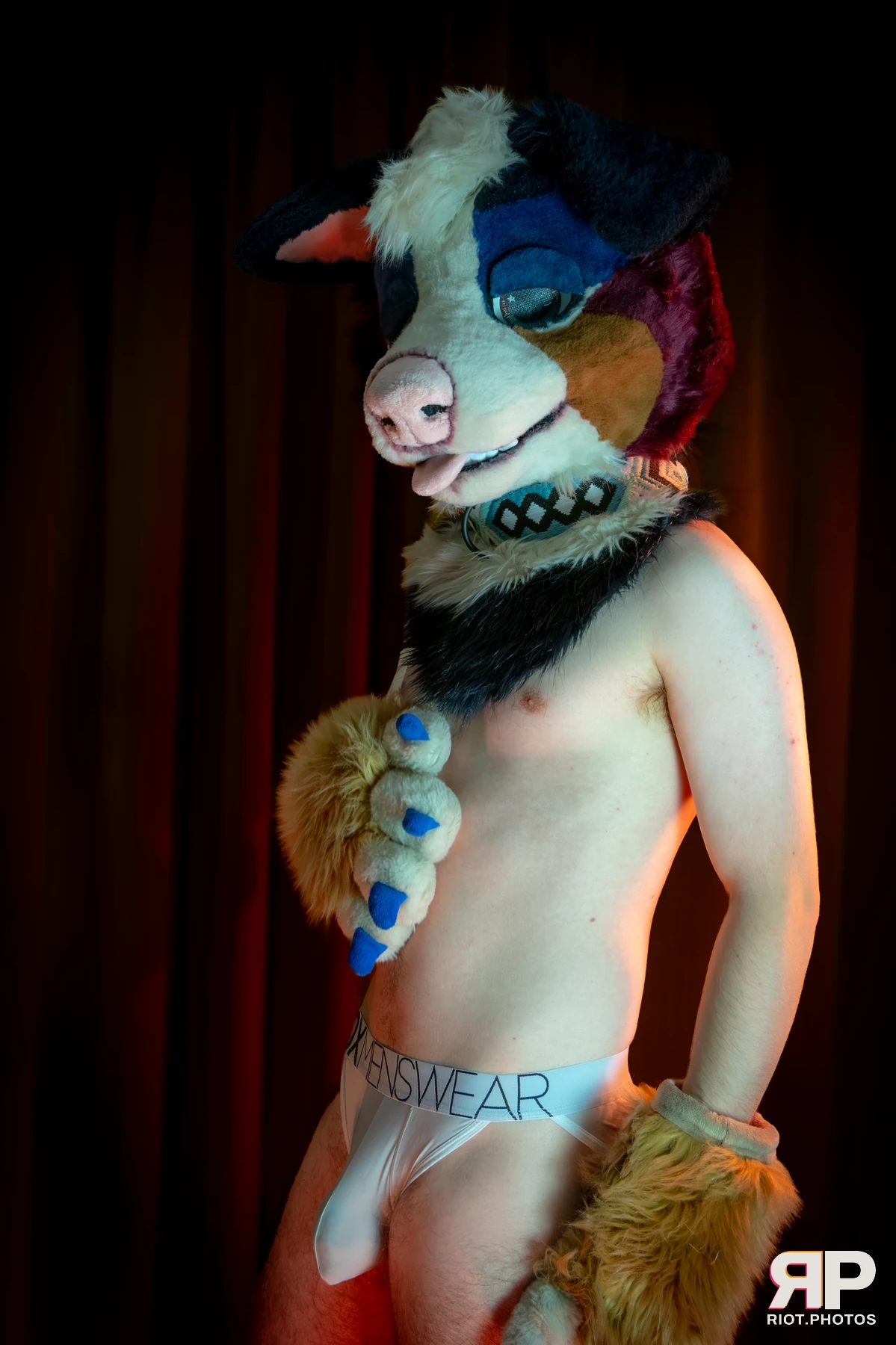 Kepler - furry & pup photography by Fluffy Riot - photo 4