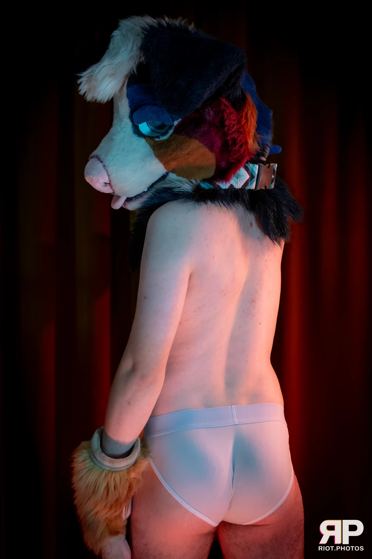 Kepler - furry & pup photography by Fluffy Riot - photo 3