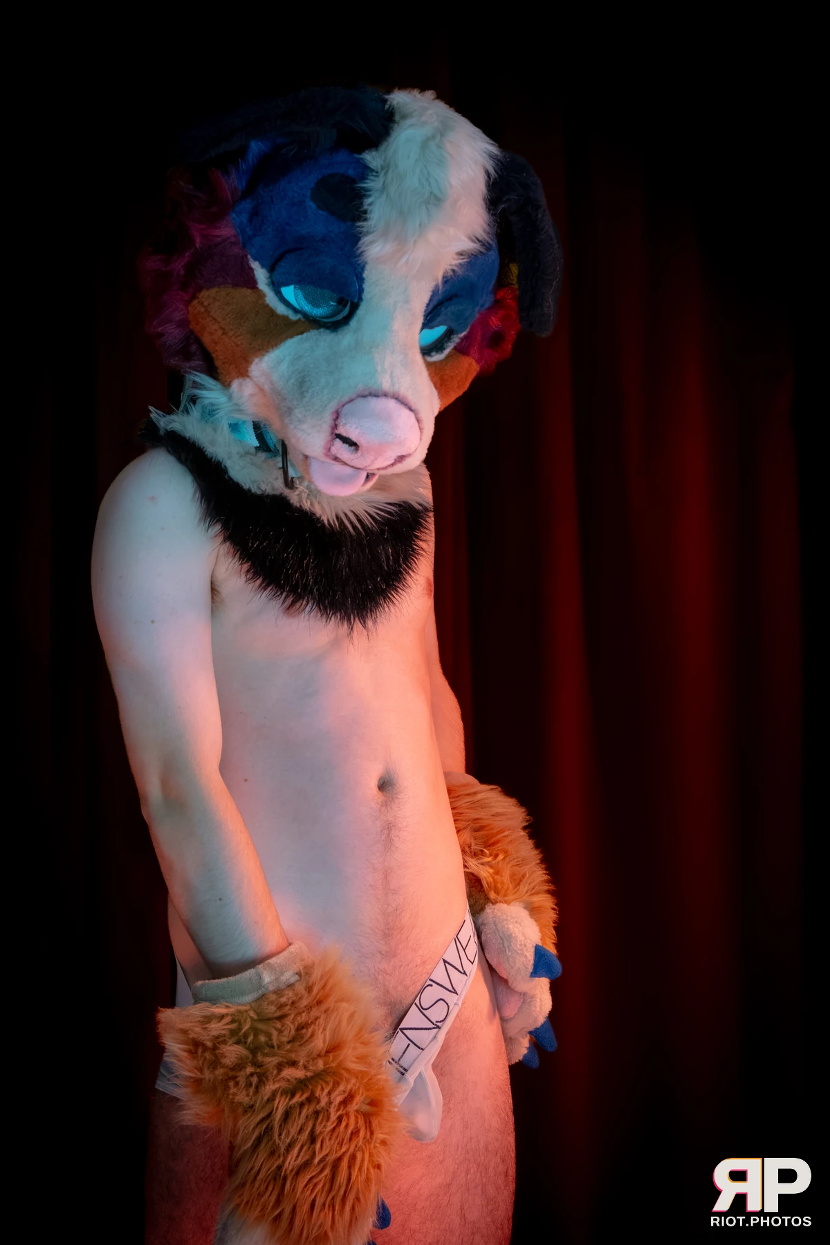 Kepler - furry & pup photography by Fluffy Riot - photo 2