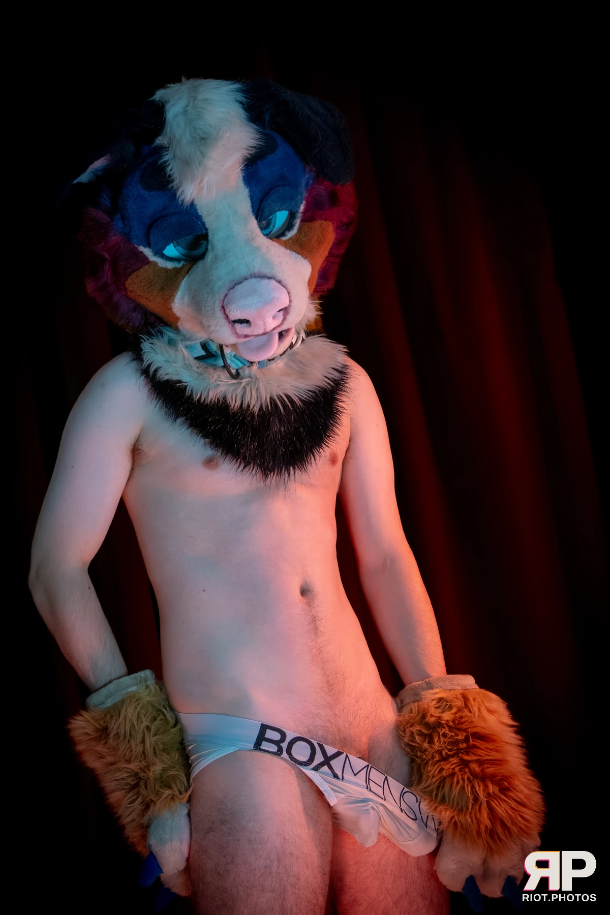 Kepler - furry & pup photography by Fluffy Riot - photo 1