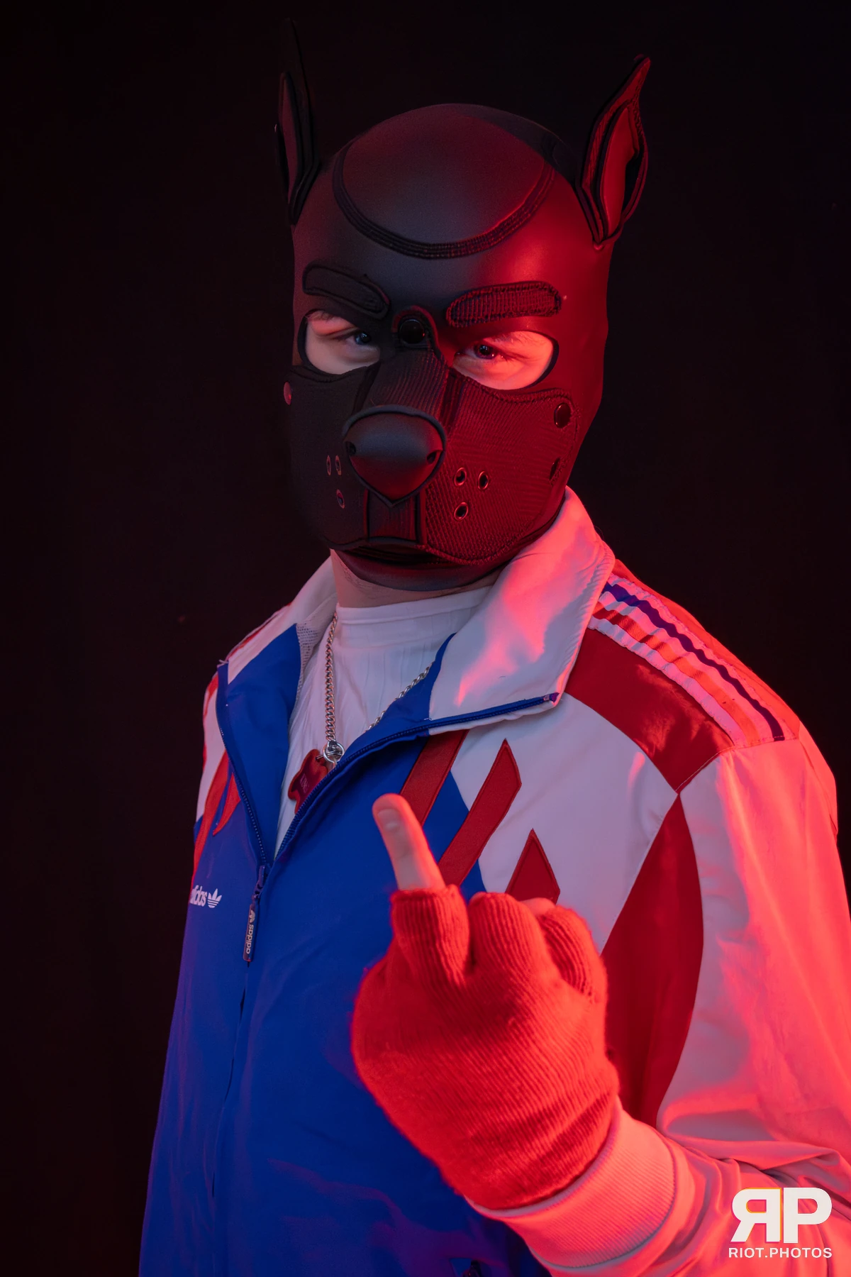 King Yeena — furry & pup photography by Fluffy Riot — photo 19