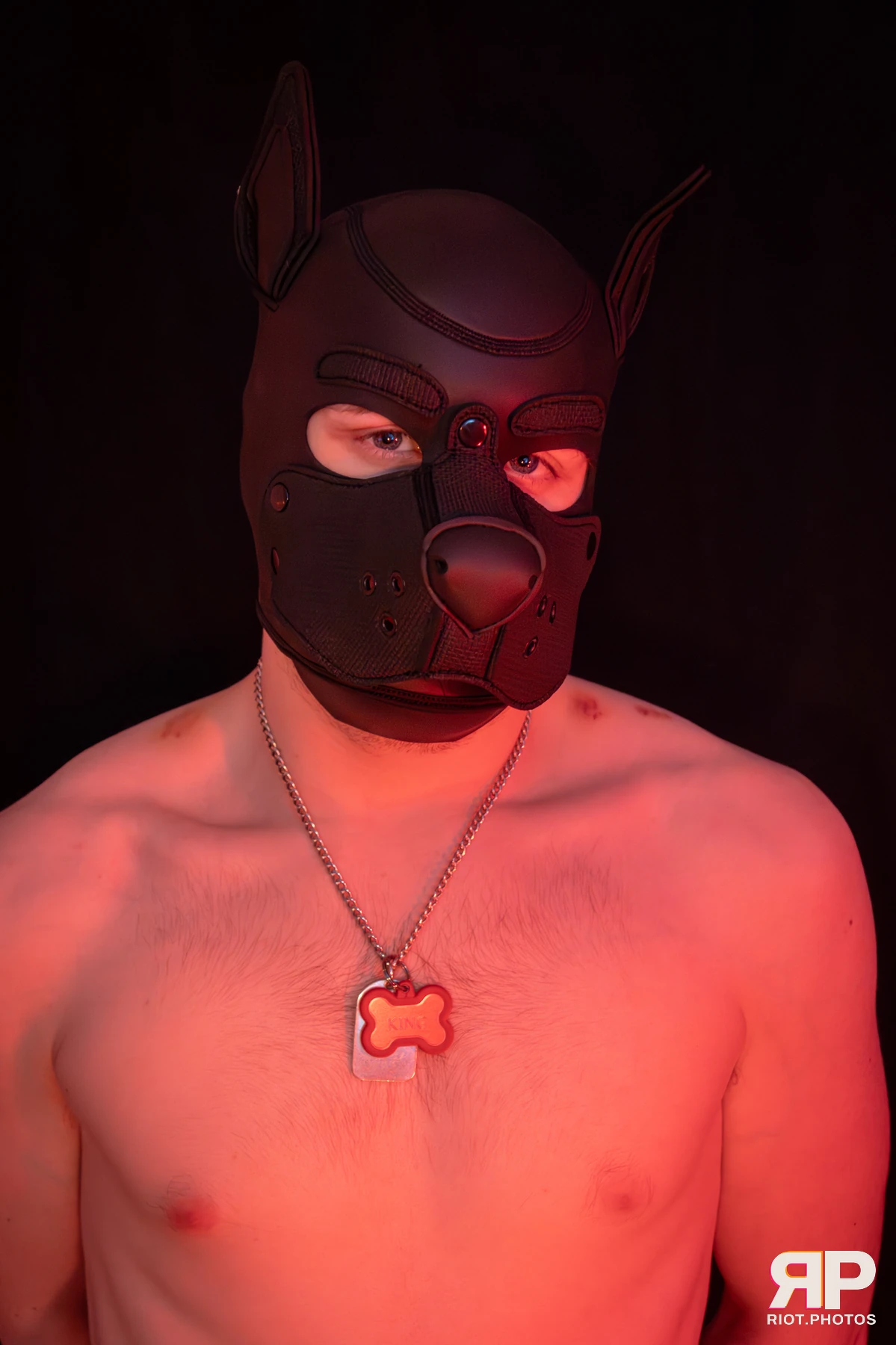 King Yeena — furry & pup photography by Fluffy Riot — photo 31