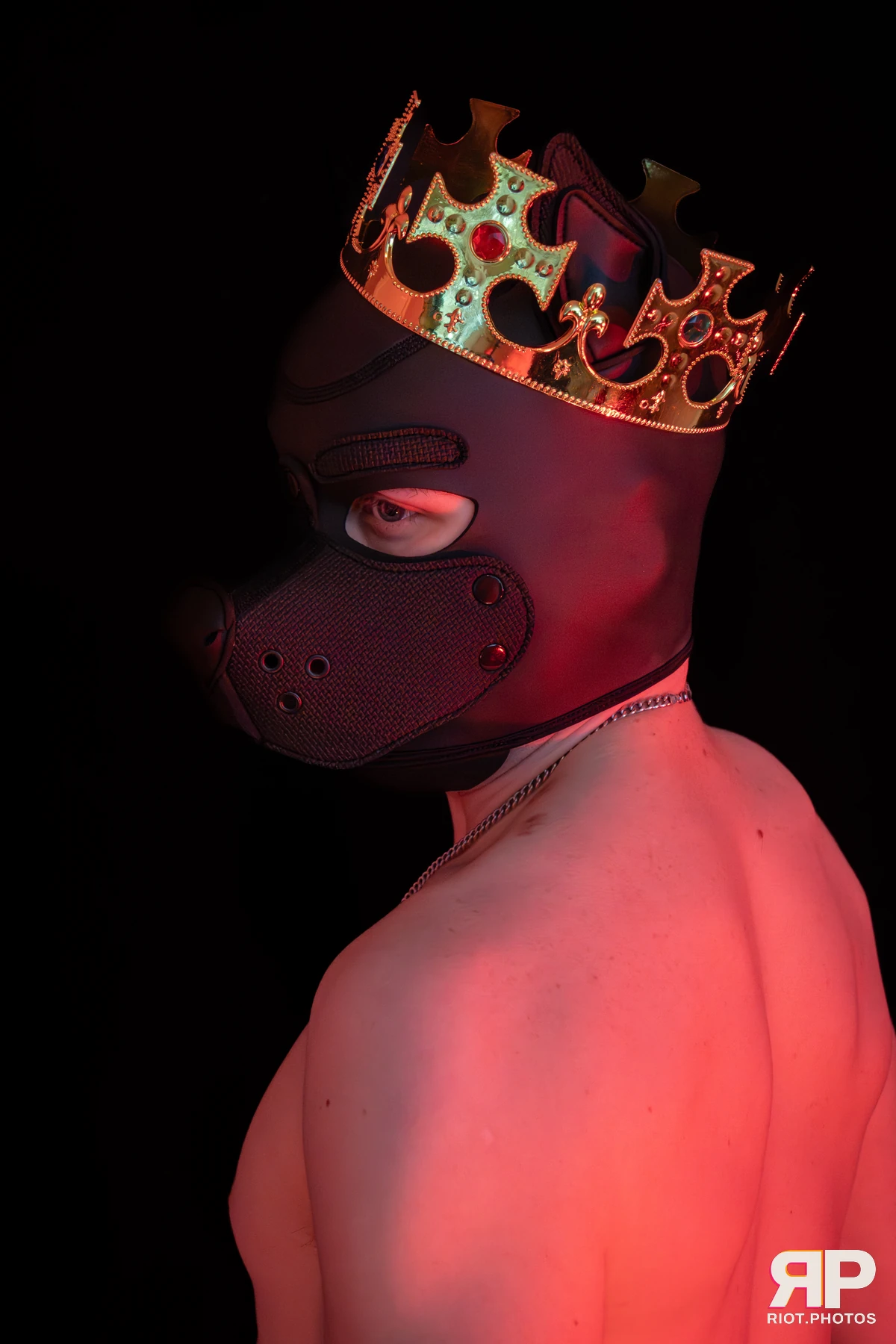 King Yeena — furry & pup photography by Fluffy Riot — photo 36