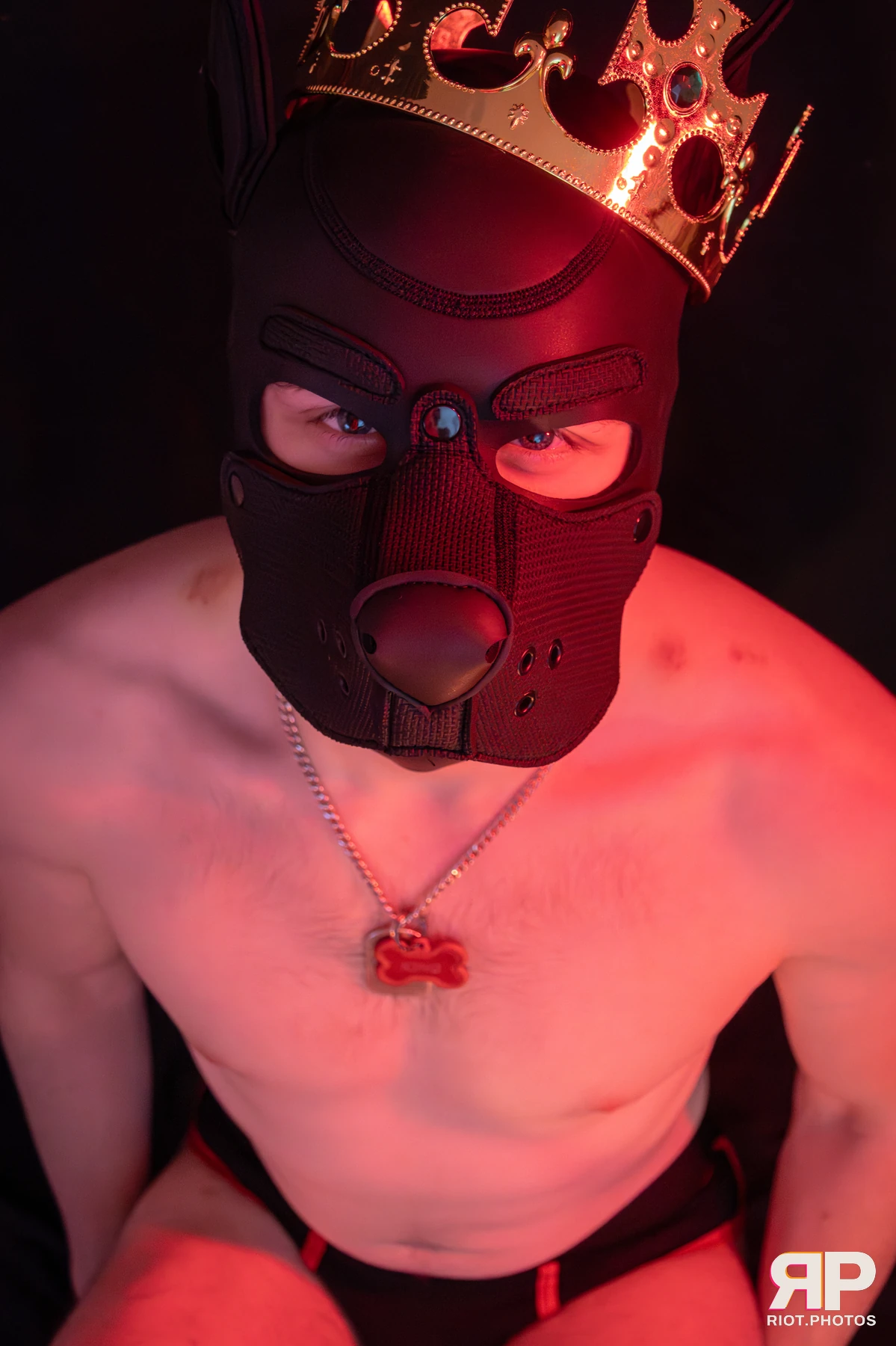 King Yeena — furry & pup photography by Fluffy Riot — photo 41