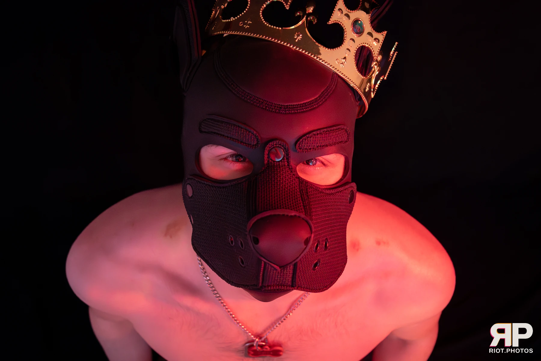 King Yeena — furry & pup photography by Fluffy Riot — photo 42
