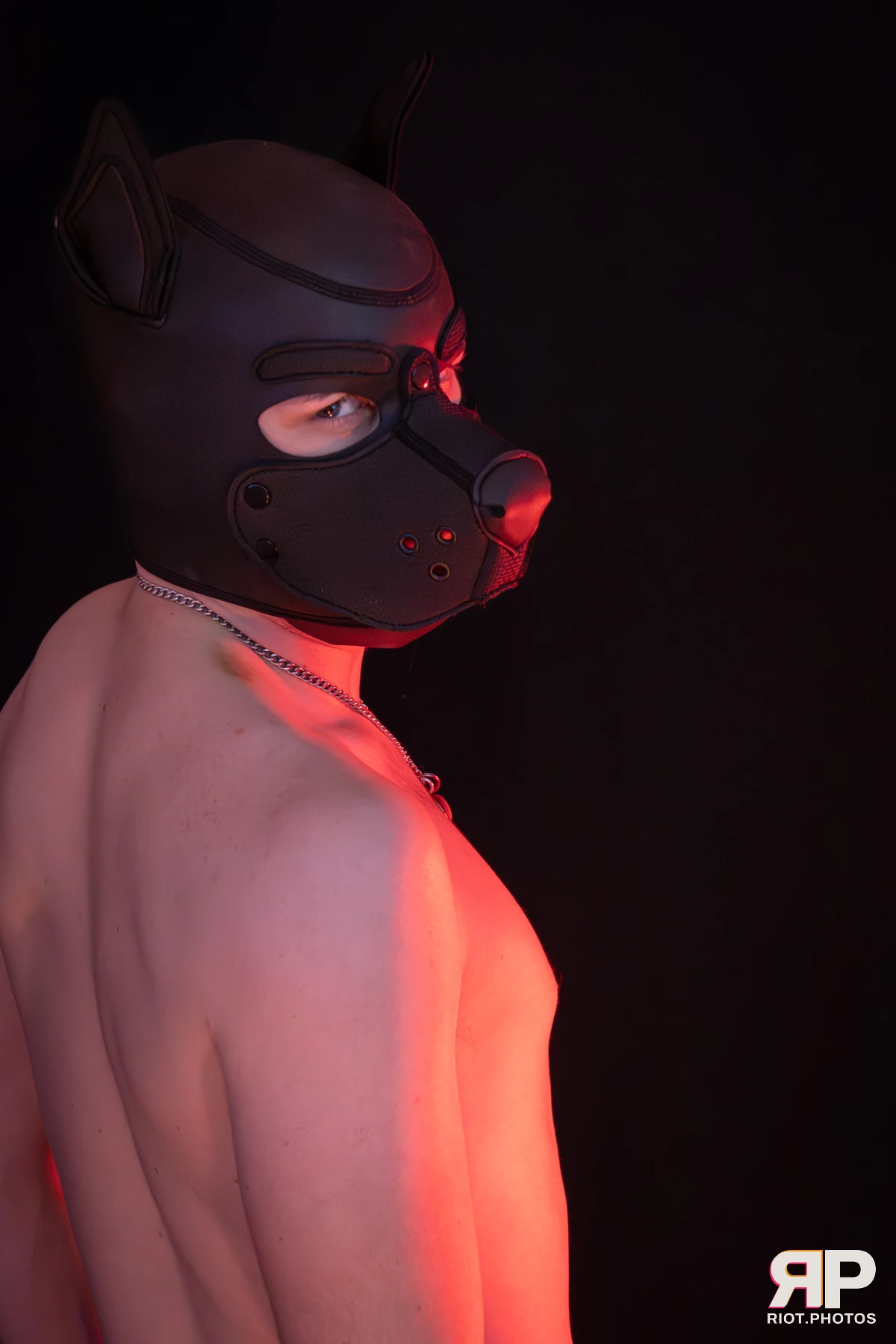 King Yeena — furry & pup photography by Fluffy Riot — photo 50