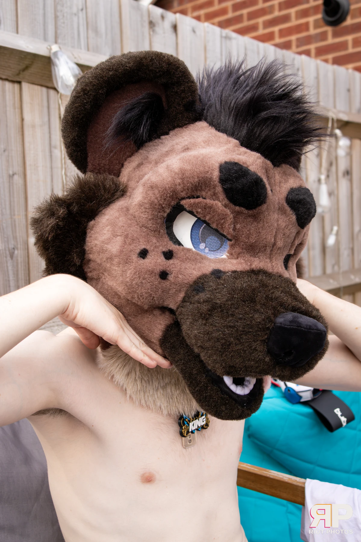 King Yeena — furry & pup photography by Fluffy Riot — photo 12