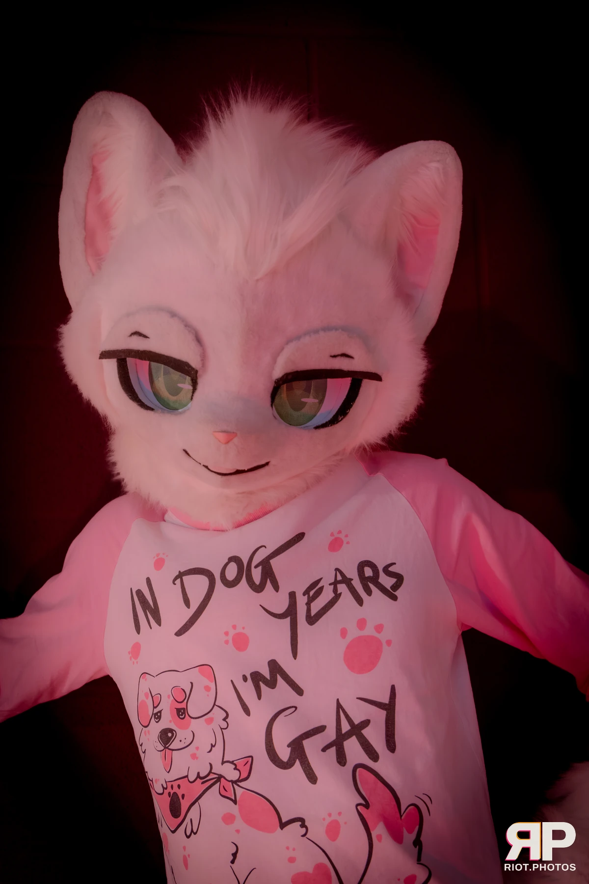 Doggy Weekend 2026 - 18 Oct 2026, Fluffy Riot photography - photo 425