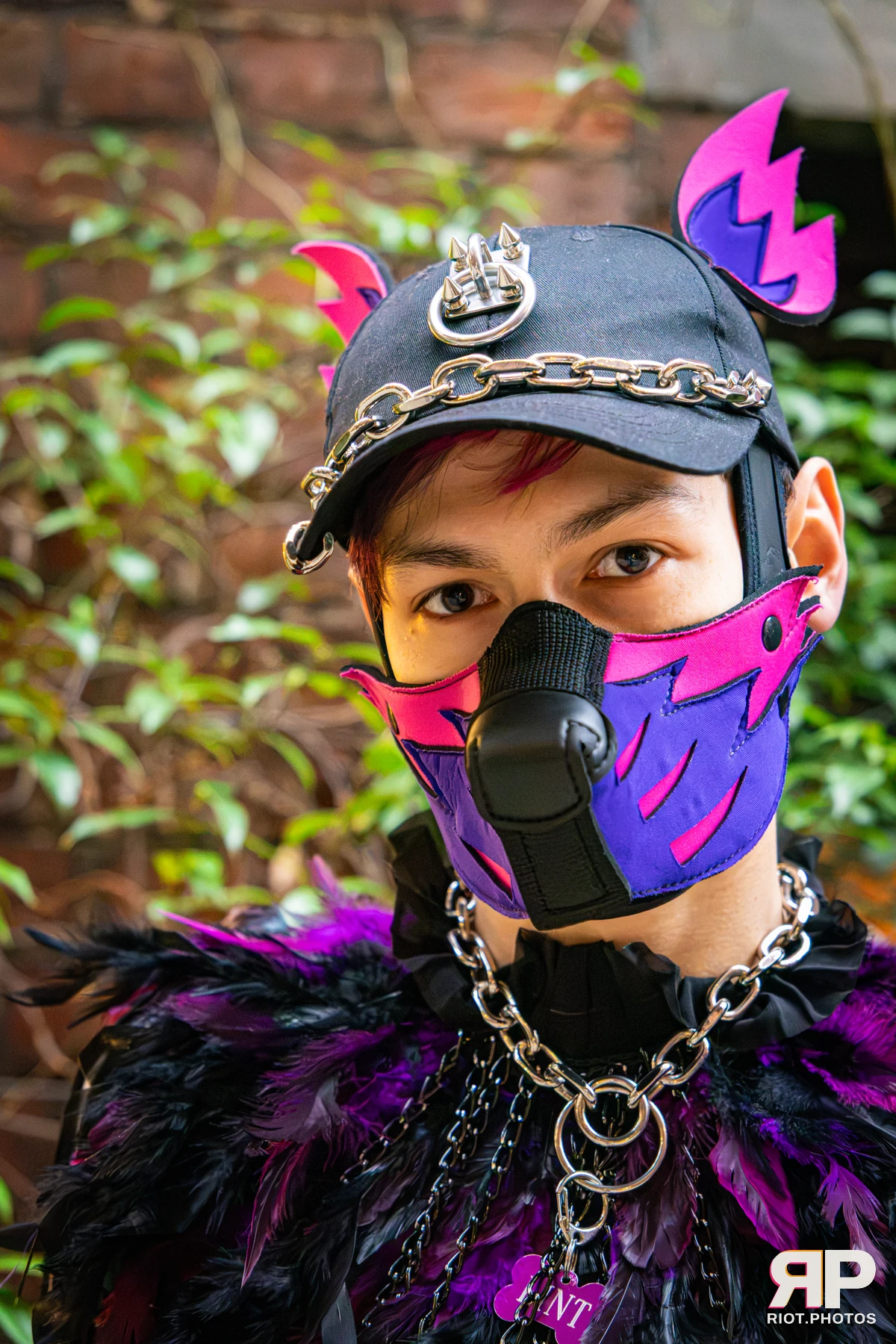 Doggy Weekend 2026 - 18 Oct 2026, Fluffy Riot photography - photo 633