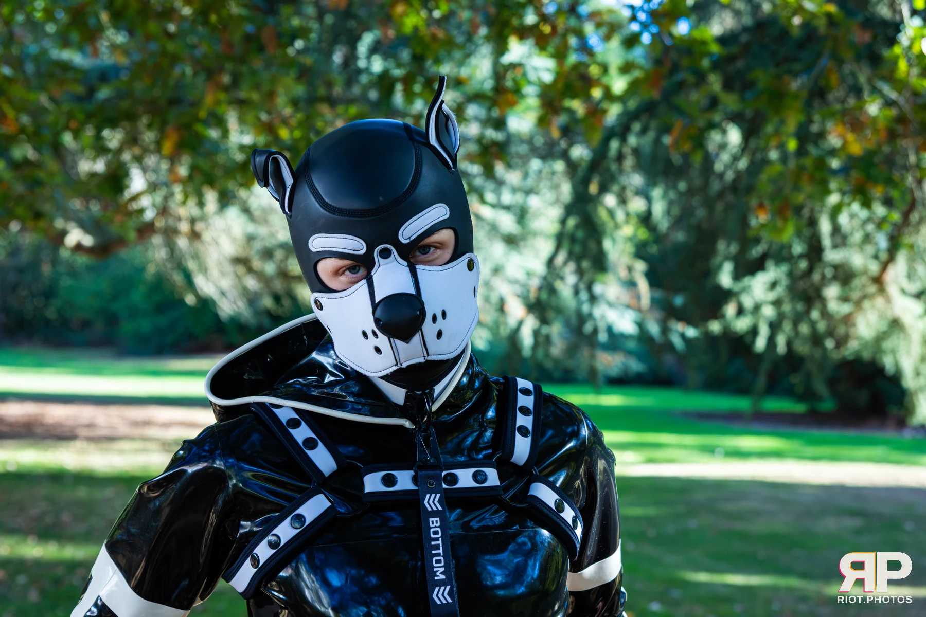 Luke Dergy - furry & pup photography by Fluffy Riot - photo 32