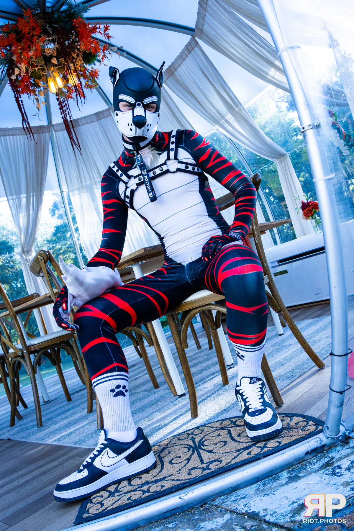Luke Dergy - furry & pup photography by Fluffy Riot - photo 27
