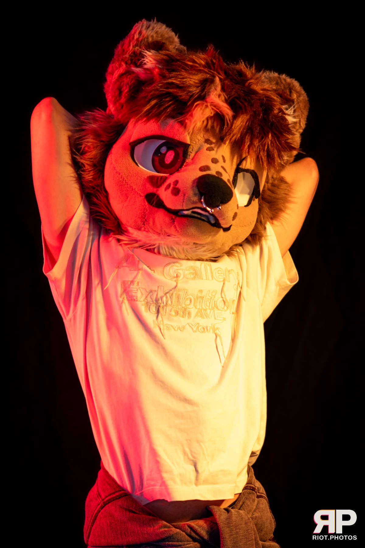Lysander — furry & pup photography by Fluffy Riot — photo 10