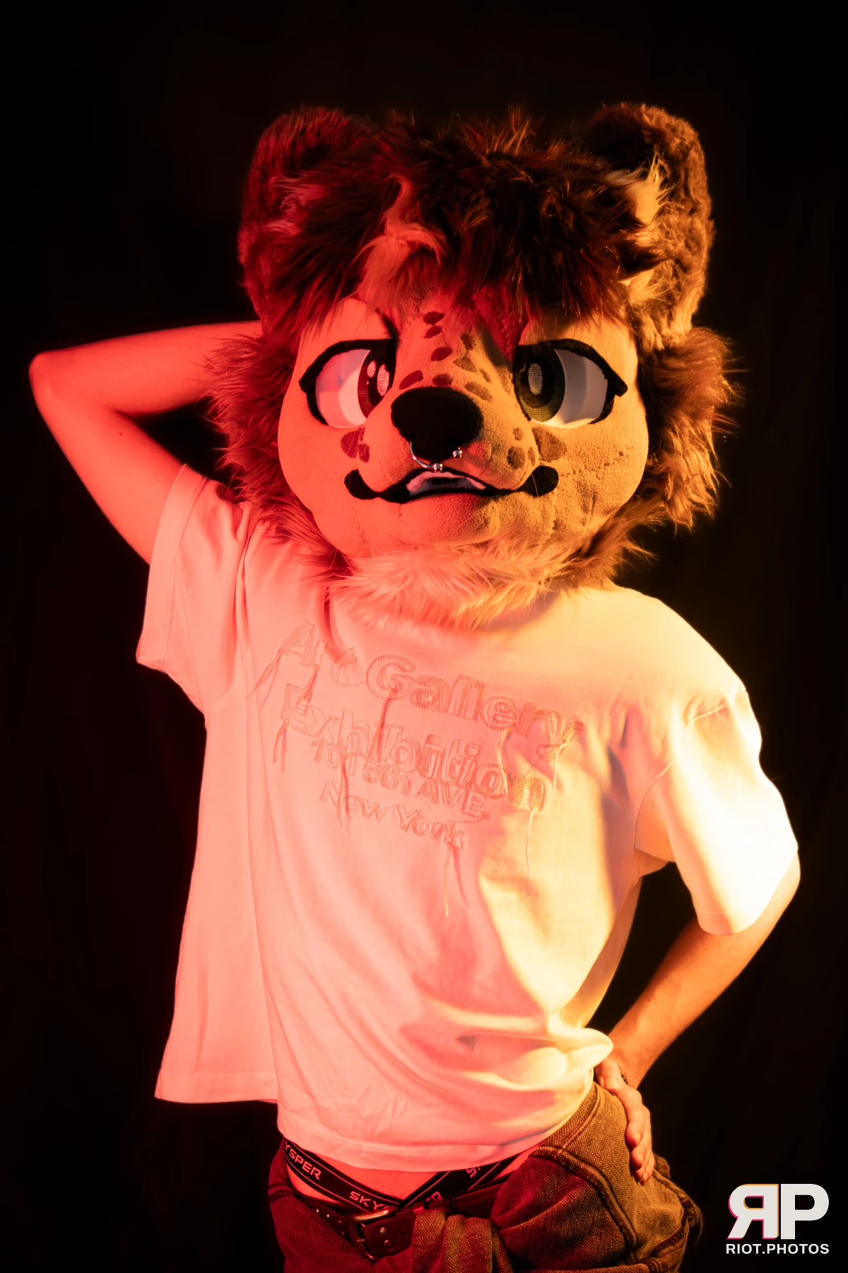 Lysander — furry & pup photography by Fluffy Riot — photo 11