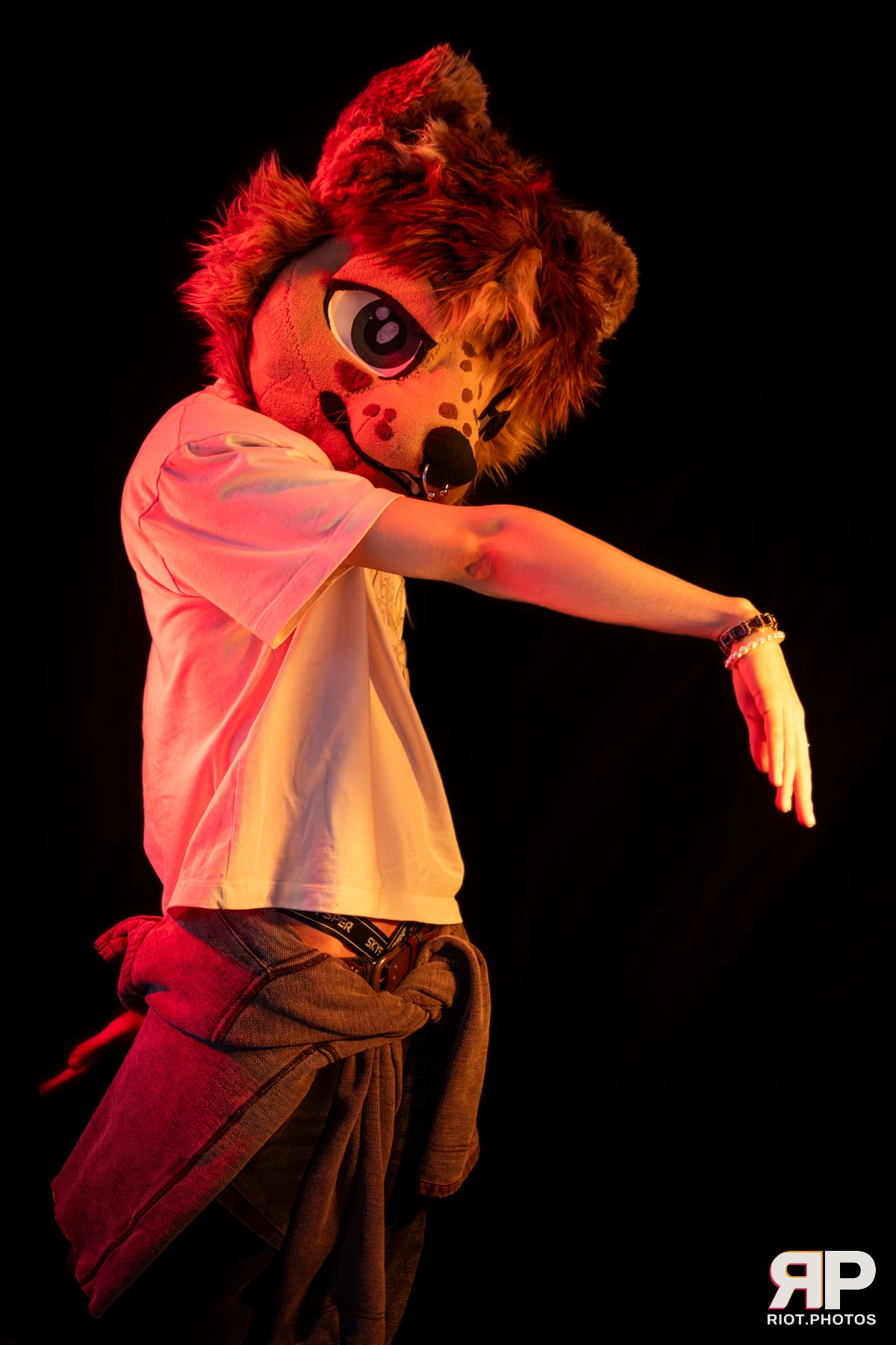 Lysander — furry & pup photography by Fluffy Riot — photo 12