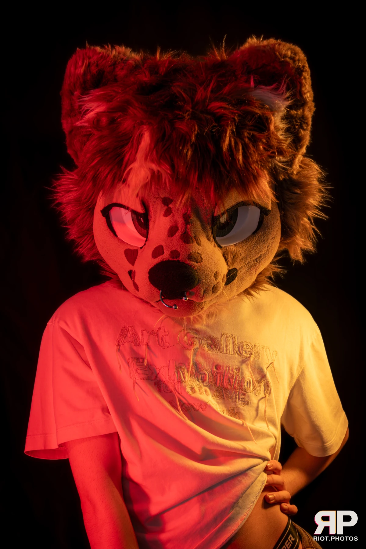 Lysander — furry & pup photography by Fluffy Riot — photo 18
