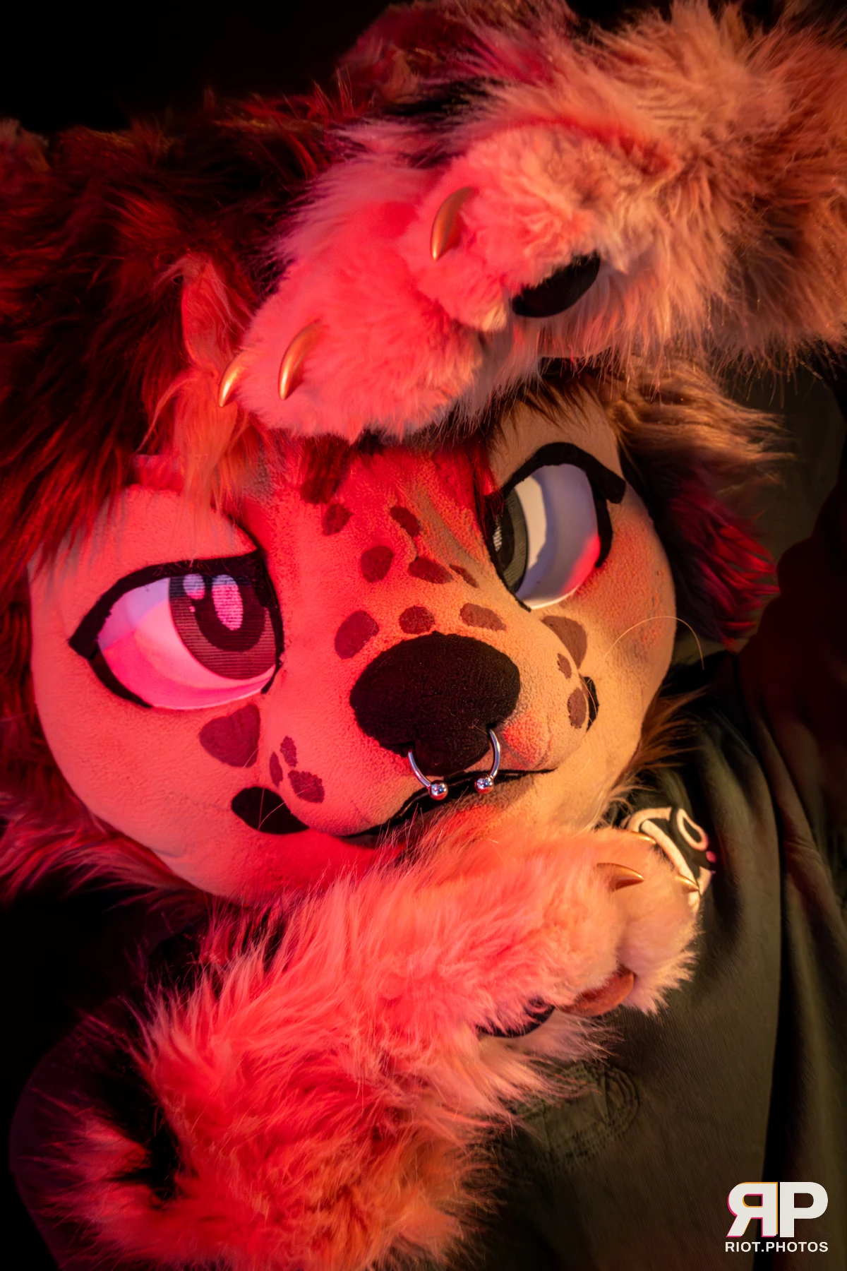Lysander — furry & pup photography by Fluffy Riot — photo 22