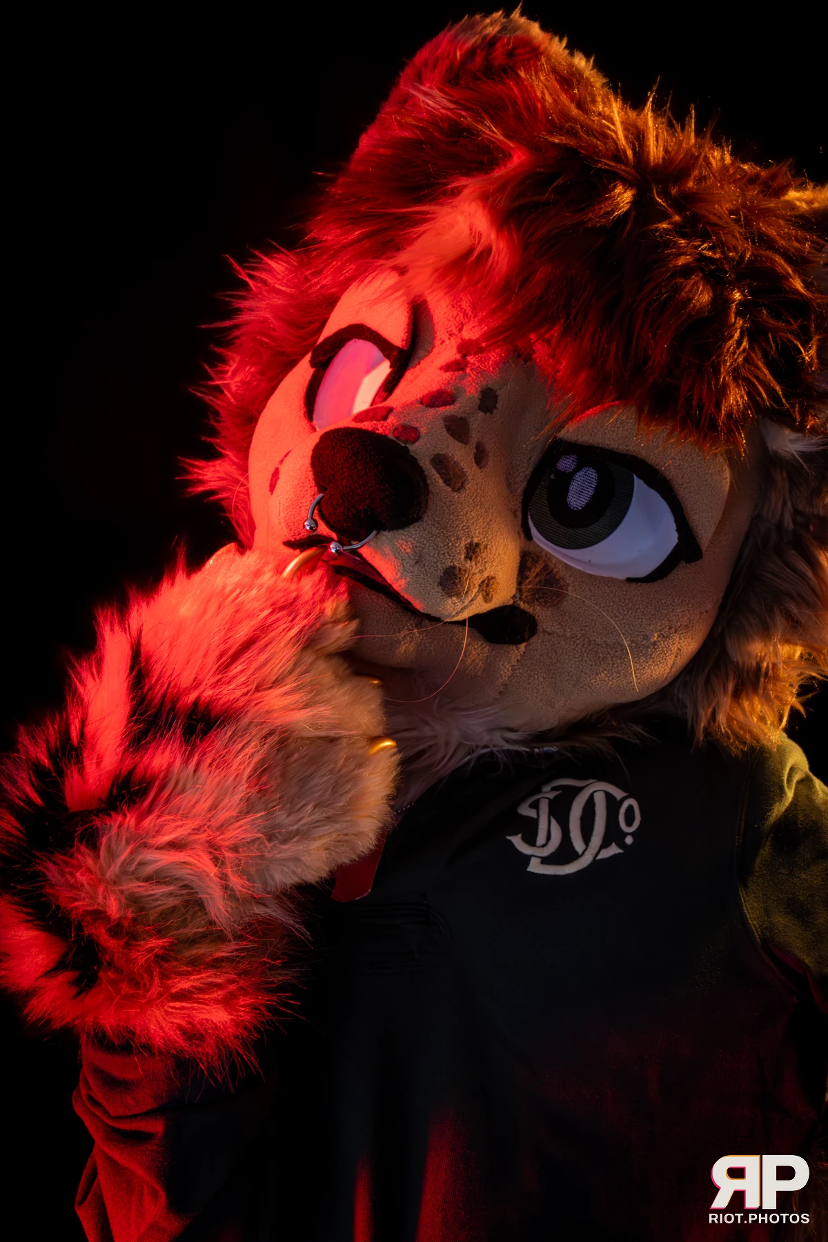 Lysander — furry & pup photography by Fluffy Riot — photo 23