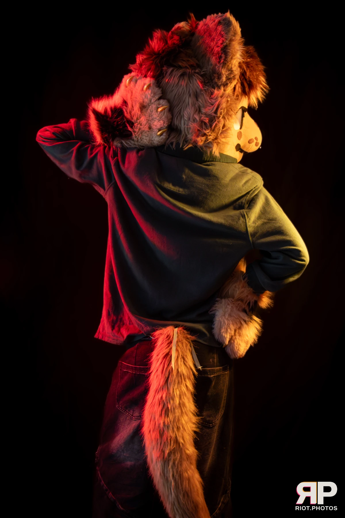 Lysander — furry & pup photography by Fluffy Riot — photo 25