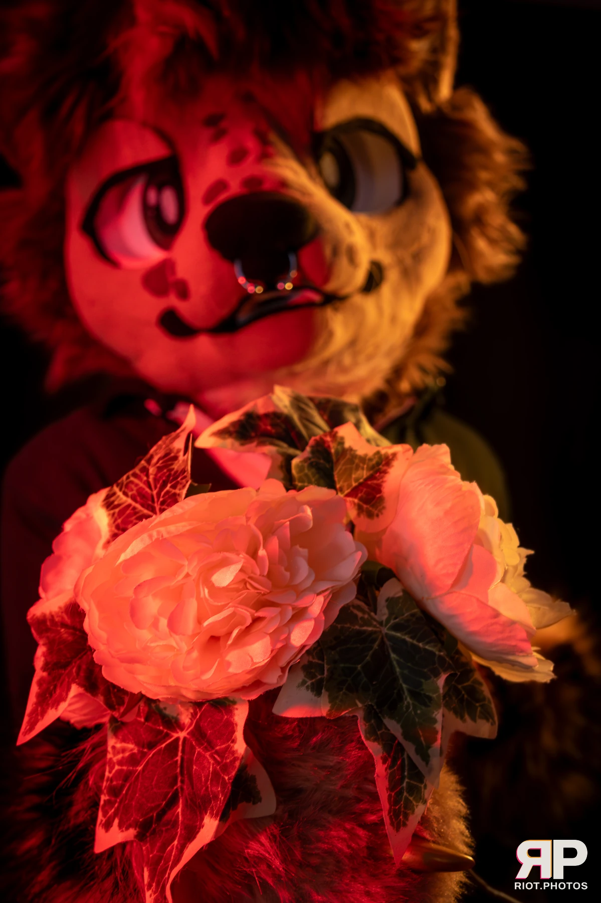 Lysander — furry & pup photography by Fluffy Riot — photo 27