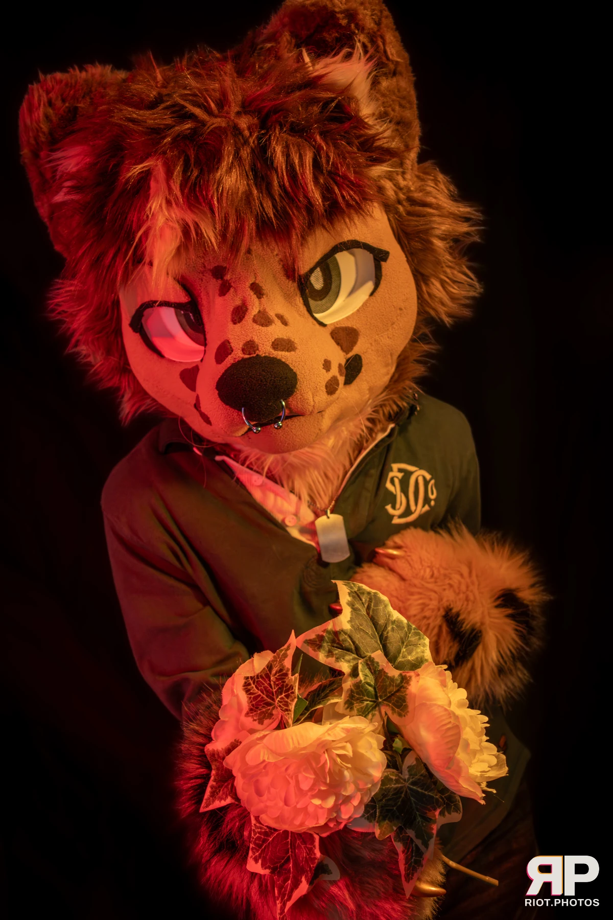 Lysander — furry & pup photography by Fluffy Riot — photo 28