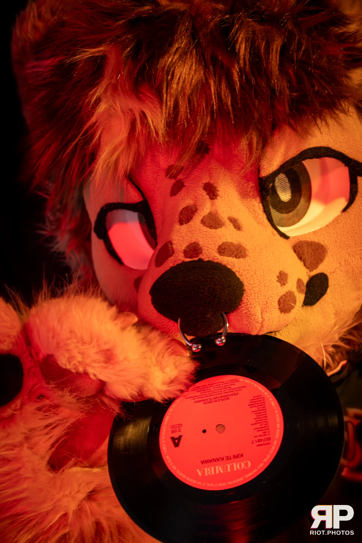 Lysander — furry & pup photography by Fluffy Riot — photo 31