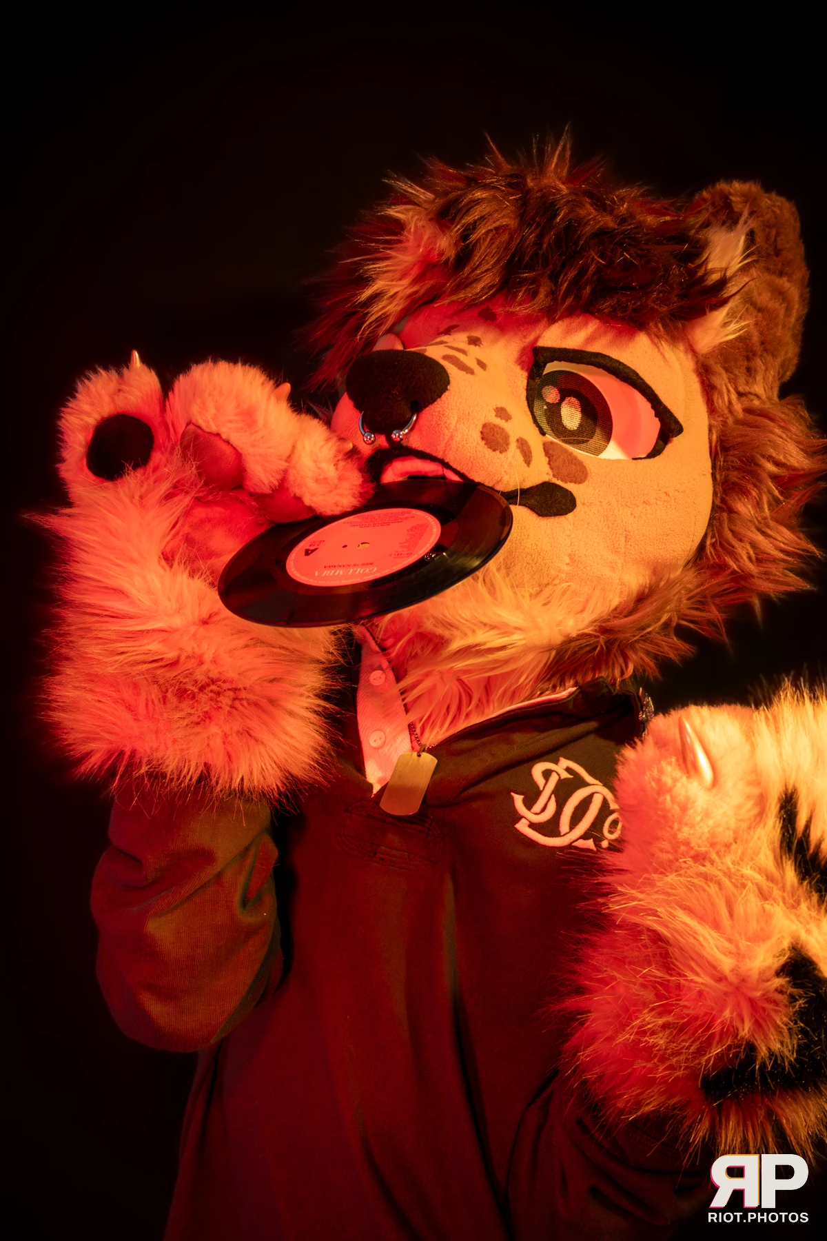 Lysander — furry & pup photography by Fluffy Riot — photo 32