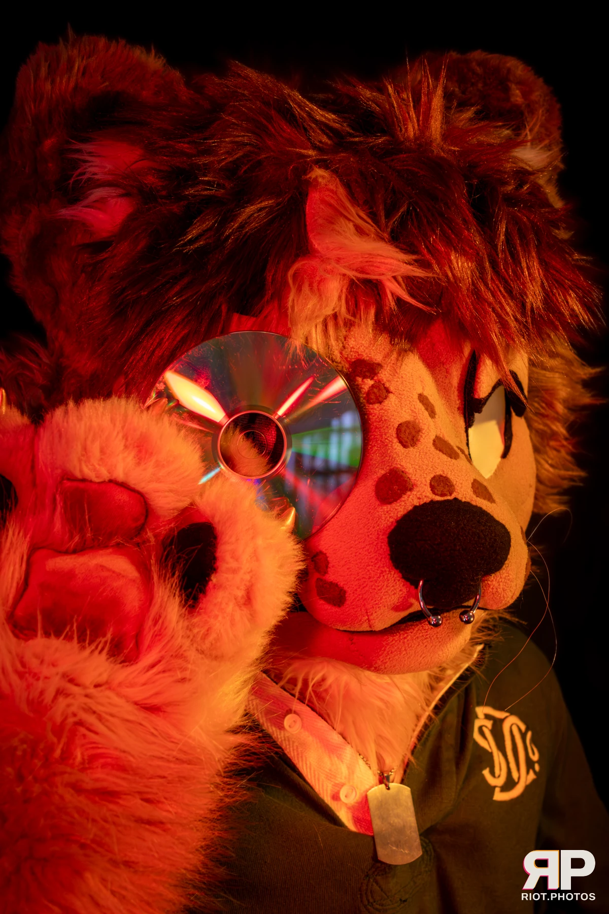 Lysander — furry & pup photography by Fluffy Riot — photo 33