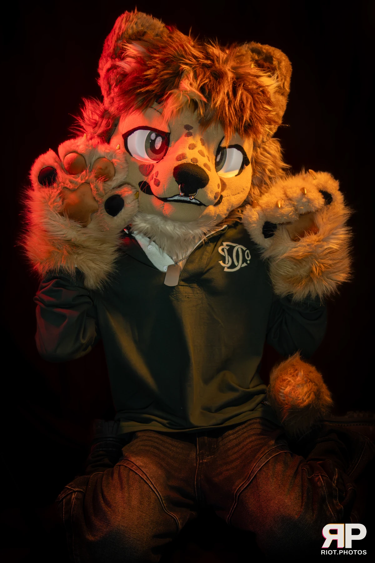 Lysander — furry & pup photography by Fluffy Riot — photo 36